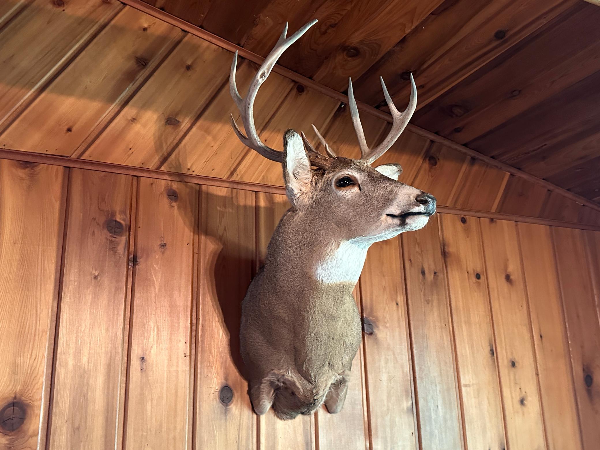 40099 Us-71 Property Photo 51