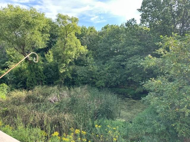 7043 Oak Pointe Curve Property Photo 7