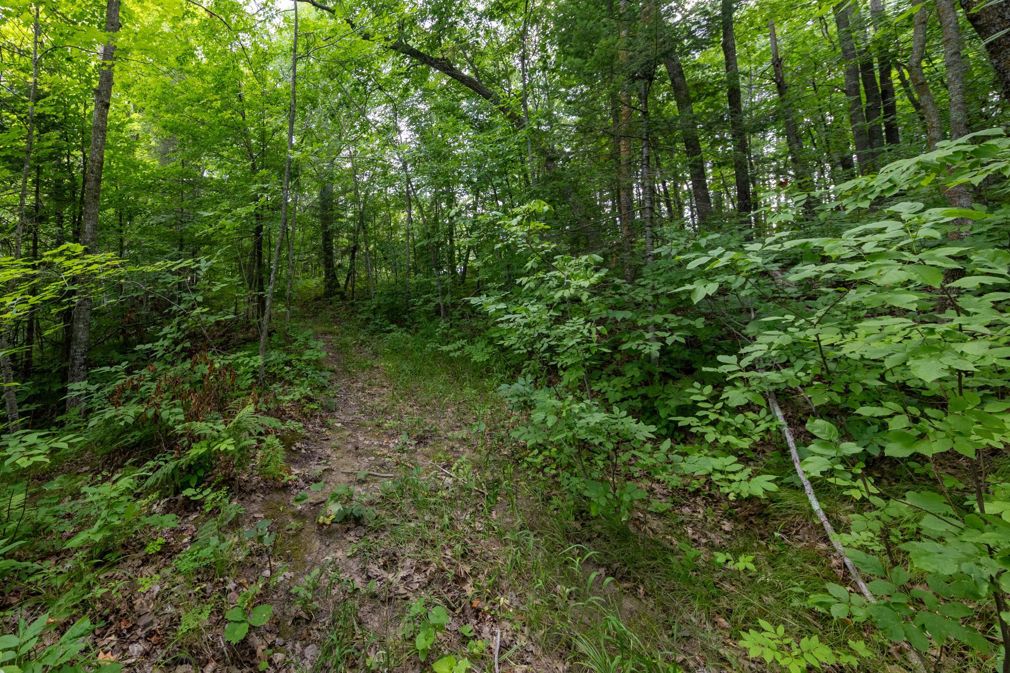 Tbd Mn-18 Property Photo 1