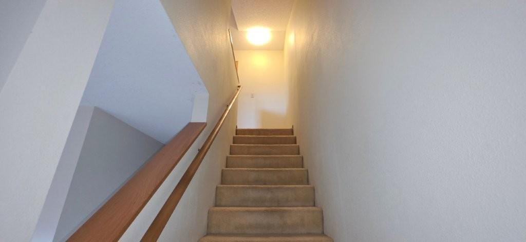 3231 Evergreen Drive Property Photo 20
