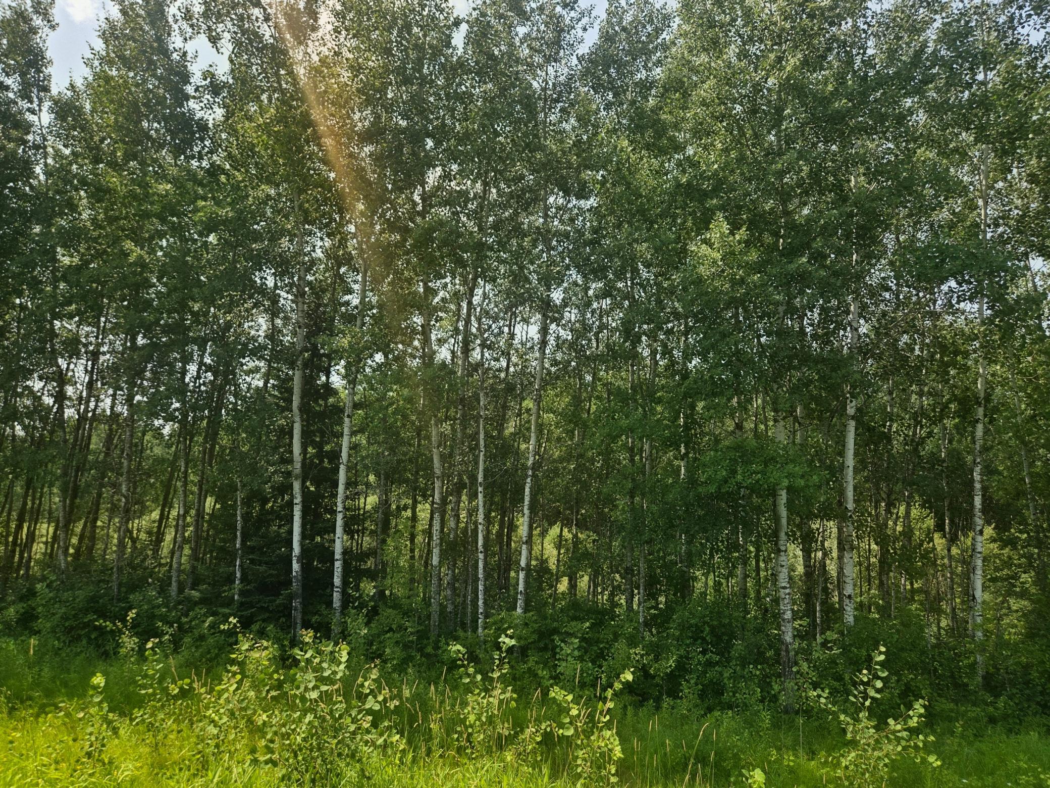 17 County Road Property Photo 2