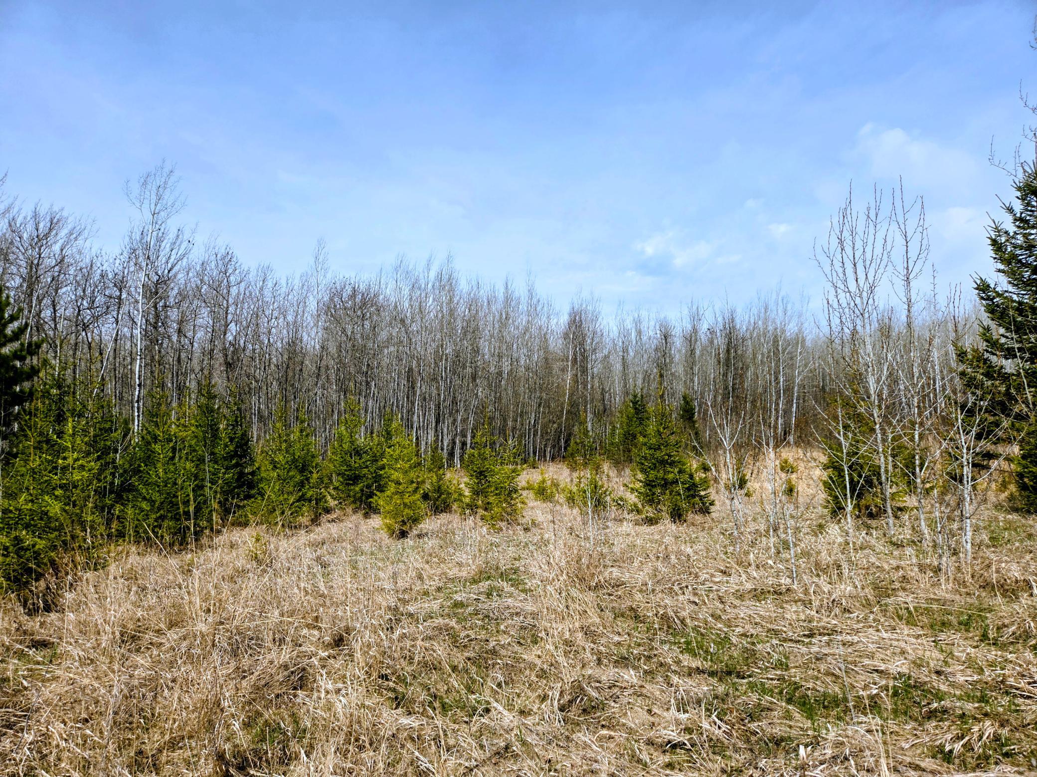 17 County Road Property Photo 3