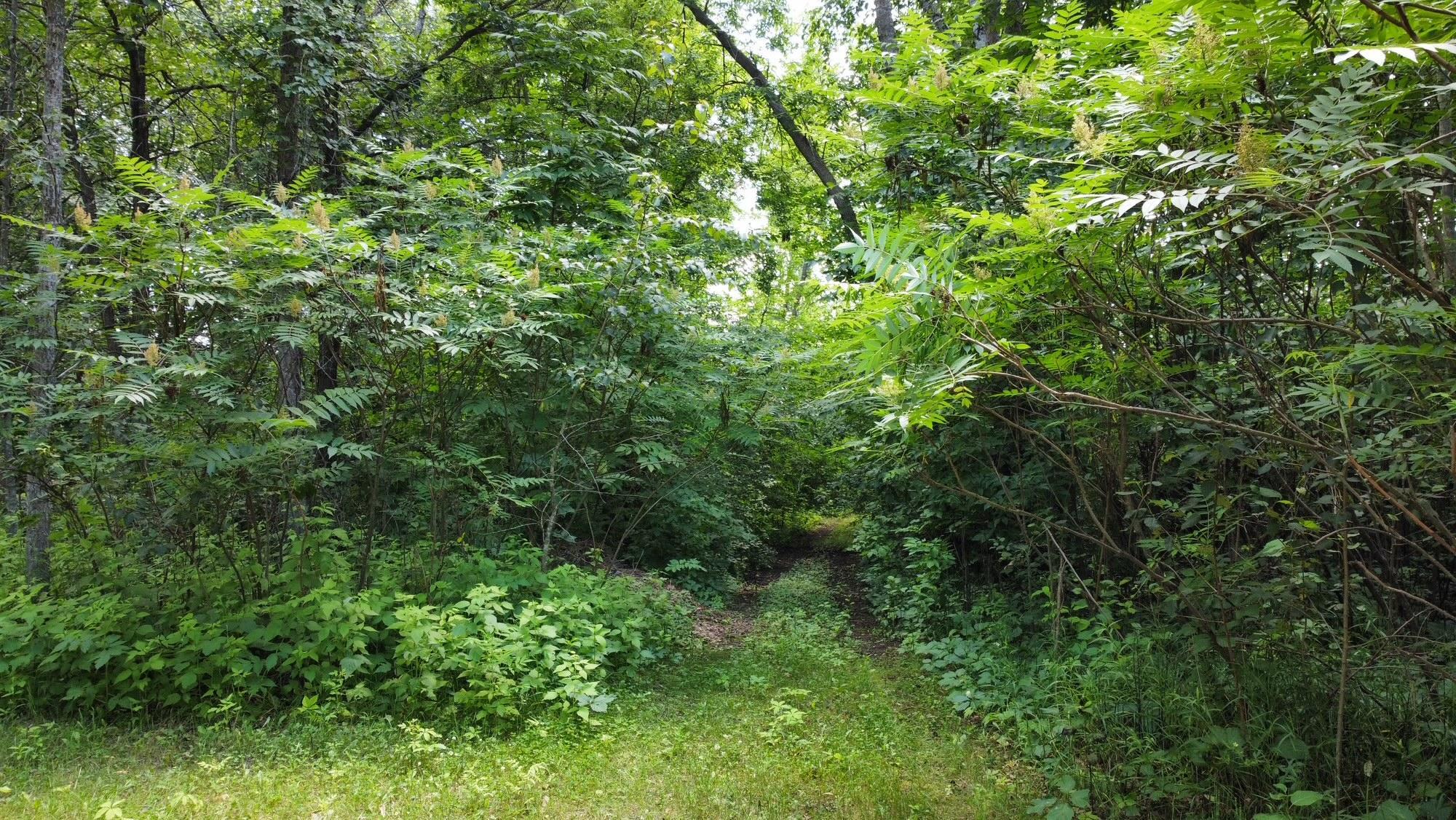 Tbd W 2nd Street Property Photo 13