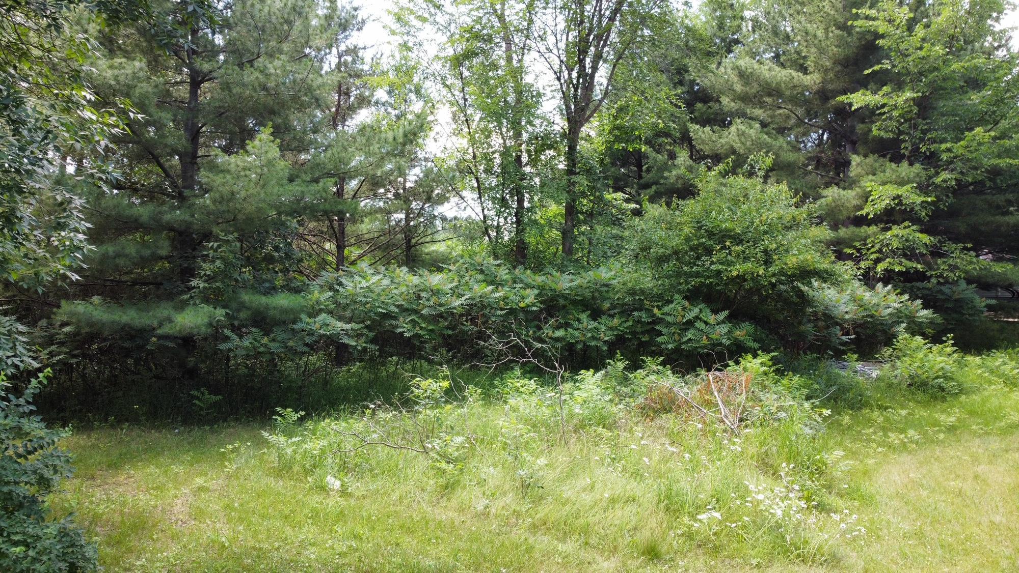 Tbd W 2nd Street Property Photo 18