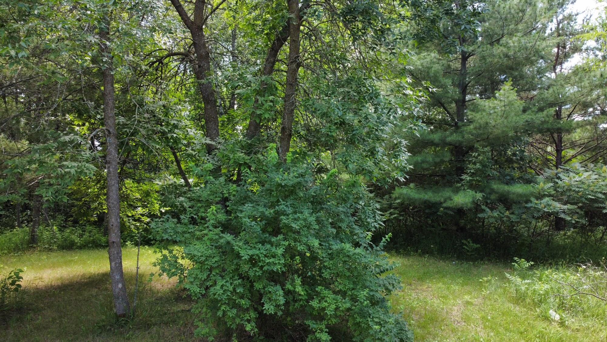 Tbd W 2nd Street Property Photo 19