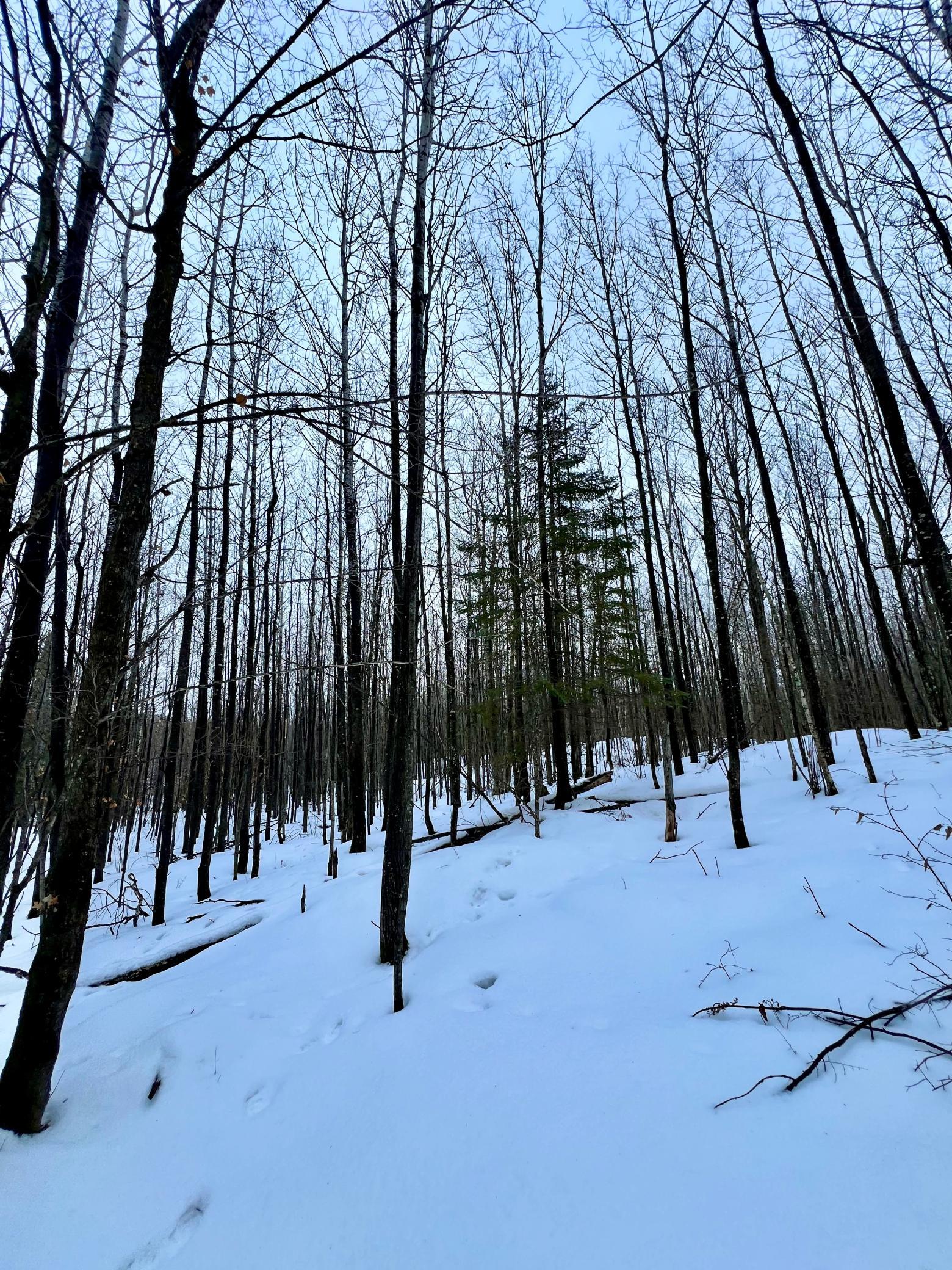 Tbd Baich Dr Property Photo 17
