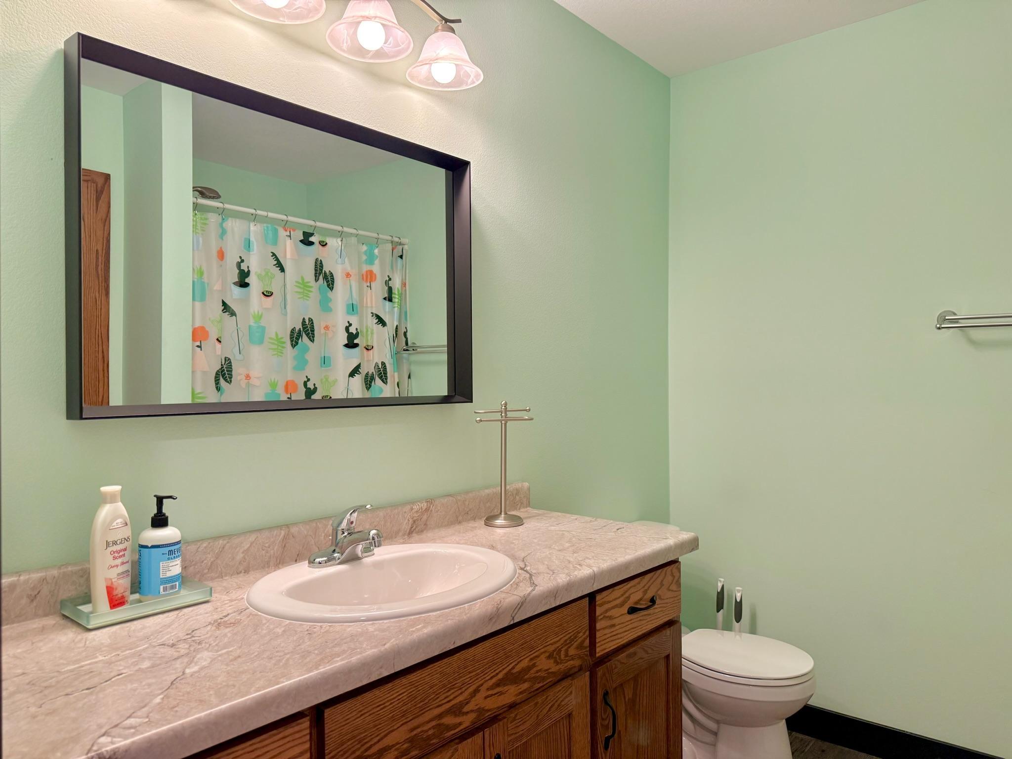 511 Meshigun Point Drive 7 Property Photo 42