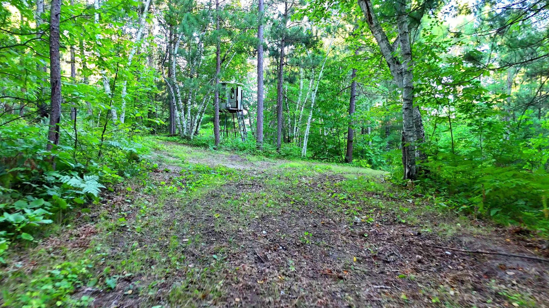 Tbd Niemi Drive Property Photo 4