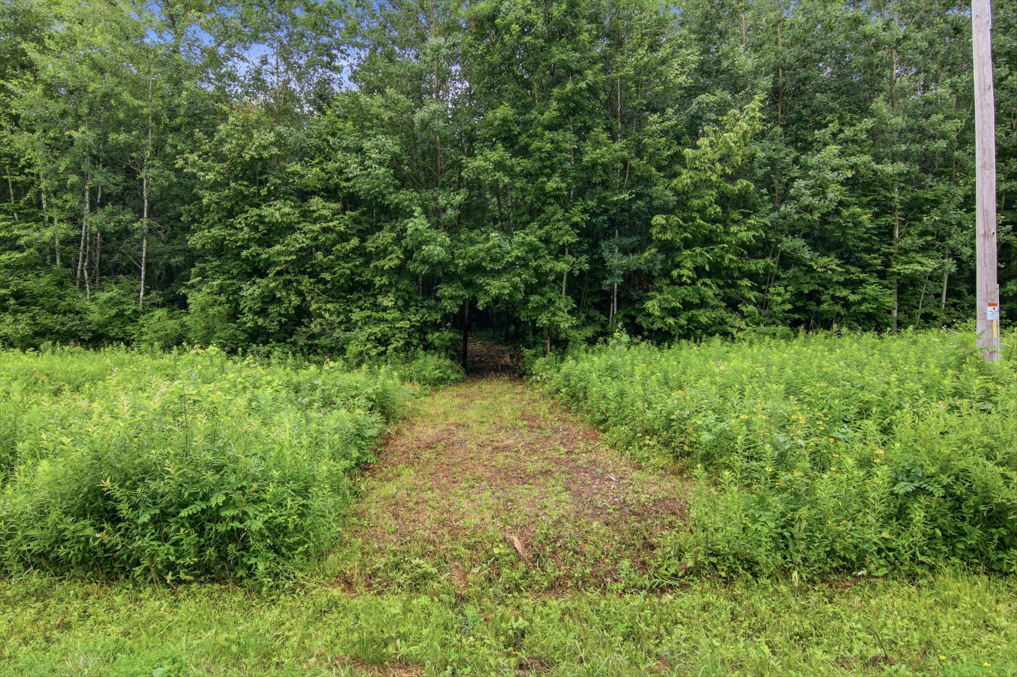 Lot 1 4th Street Property Photo 2