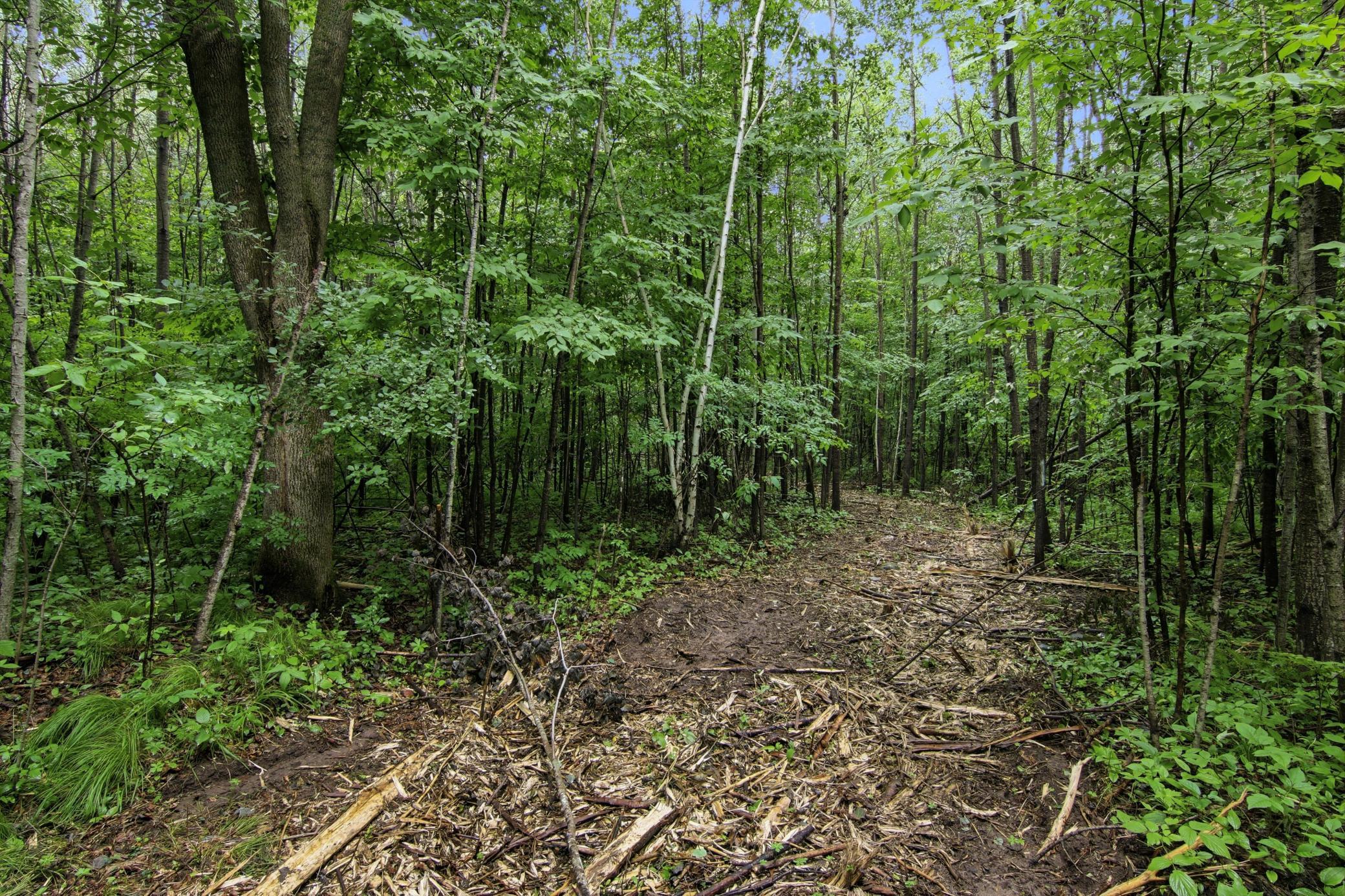 Lot 1 4th Street Property Photo 8
