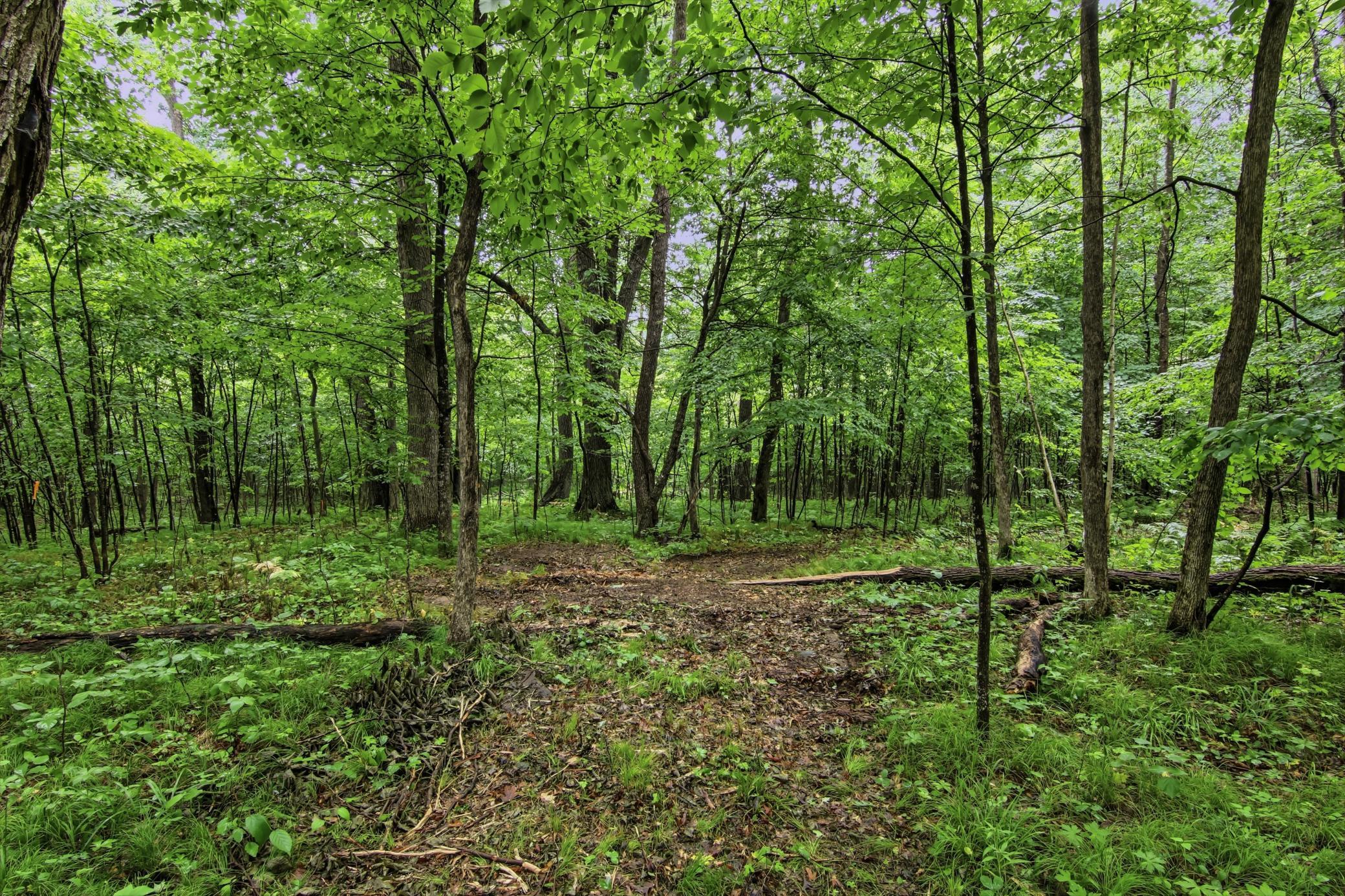 Lot 1 4th Street Property Photo 10