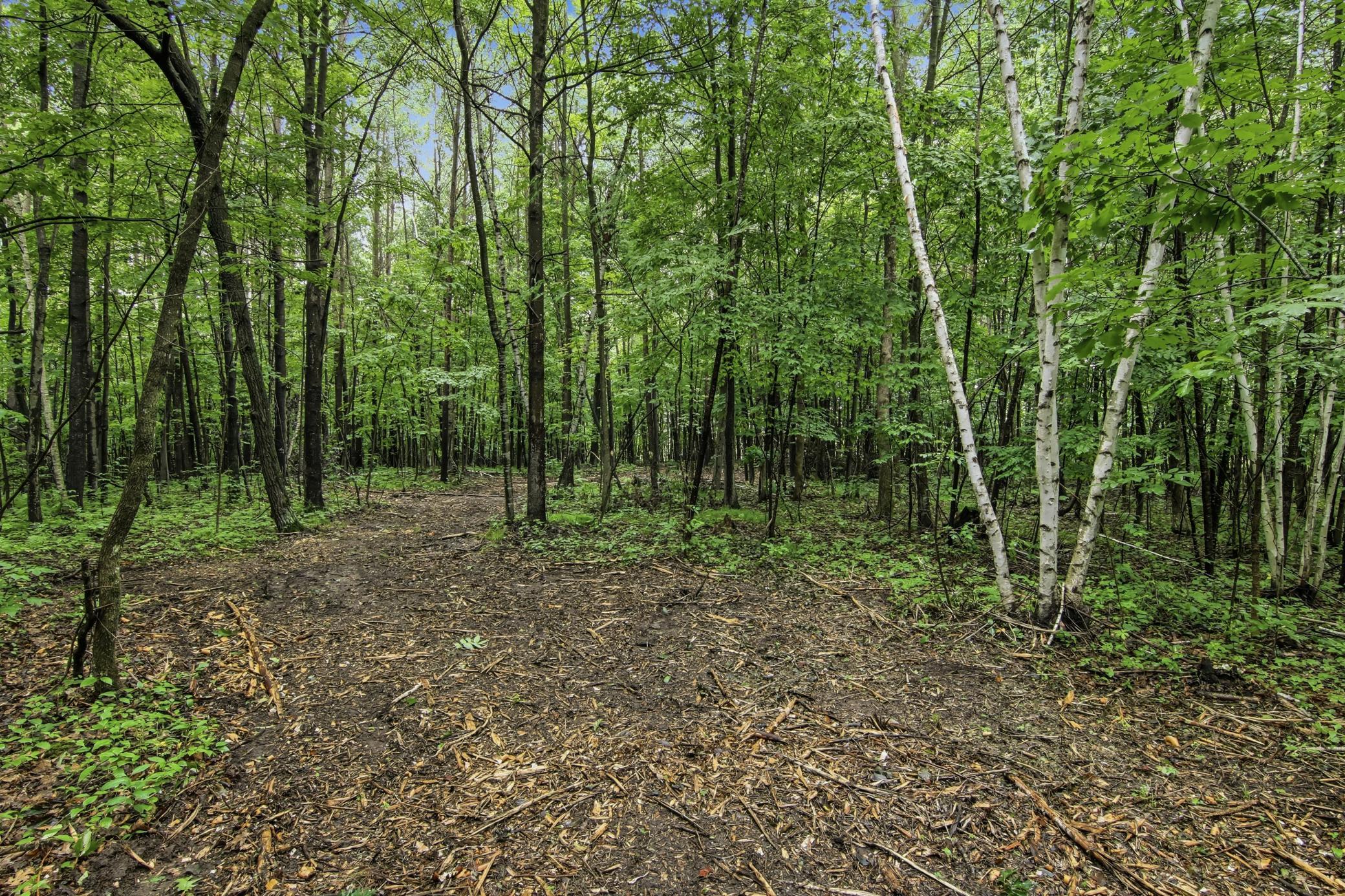 Lot 1 4th Street Property Photo 12