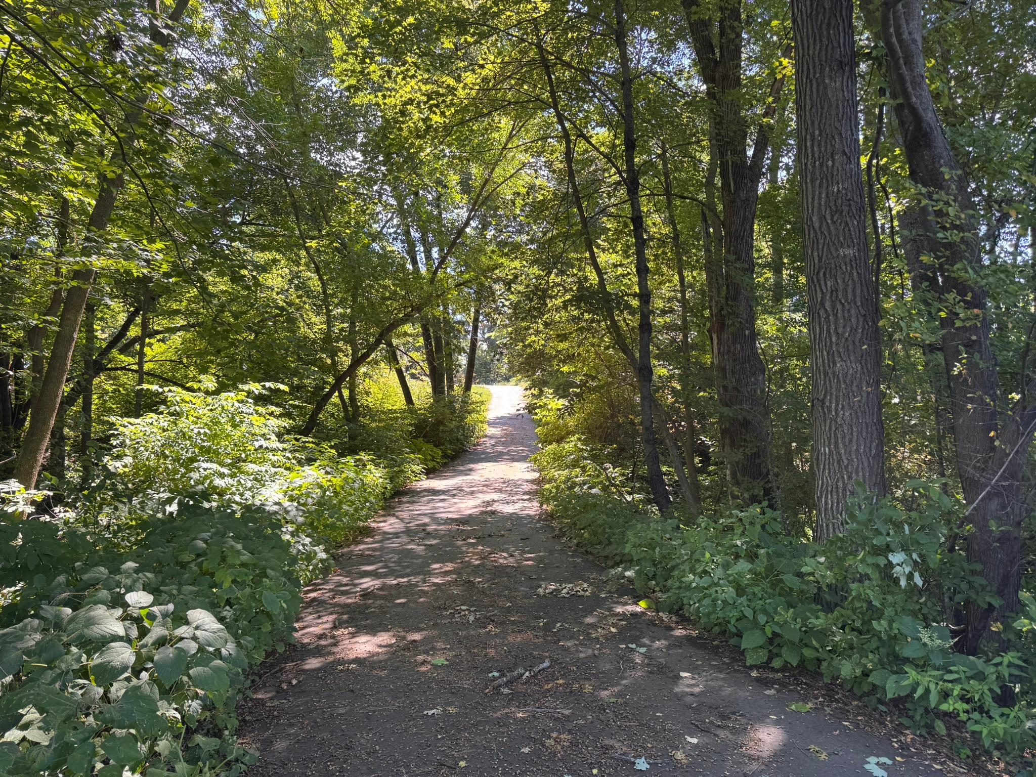 21060 Pike Avenue Property Photo 5