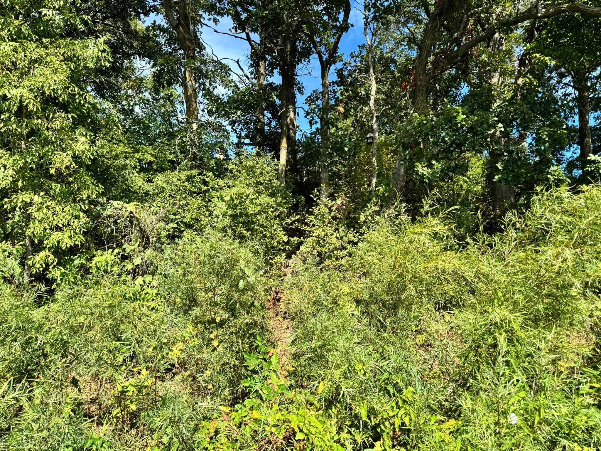 21060 Pike Avenue Property Photo 67