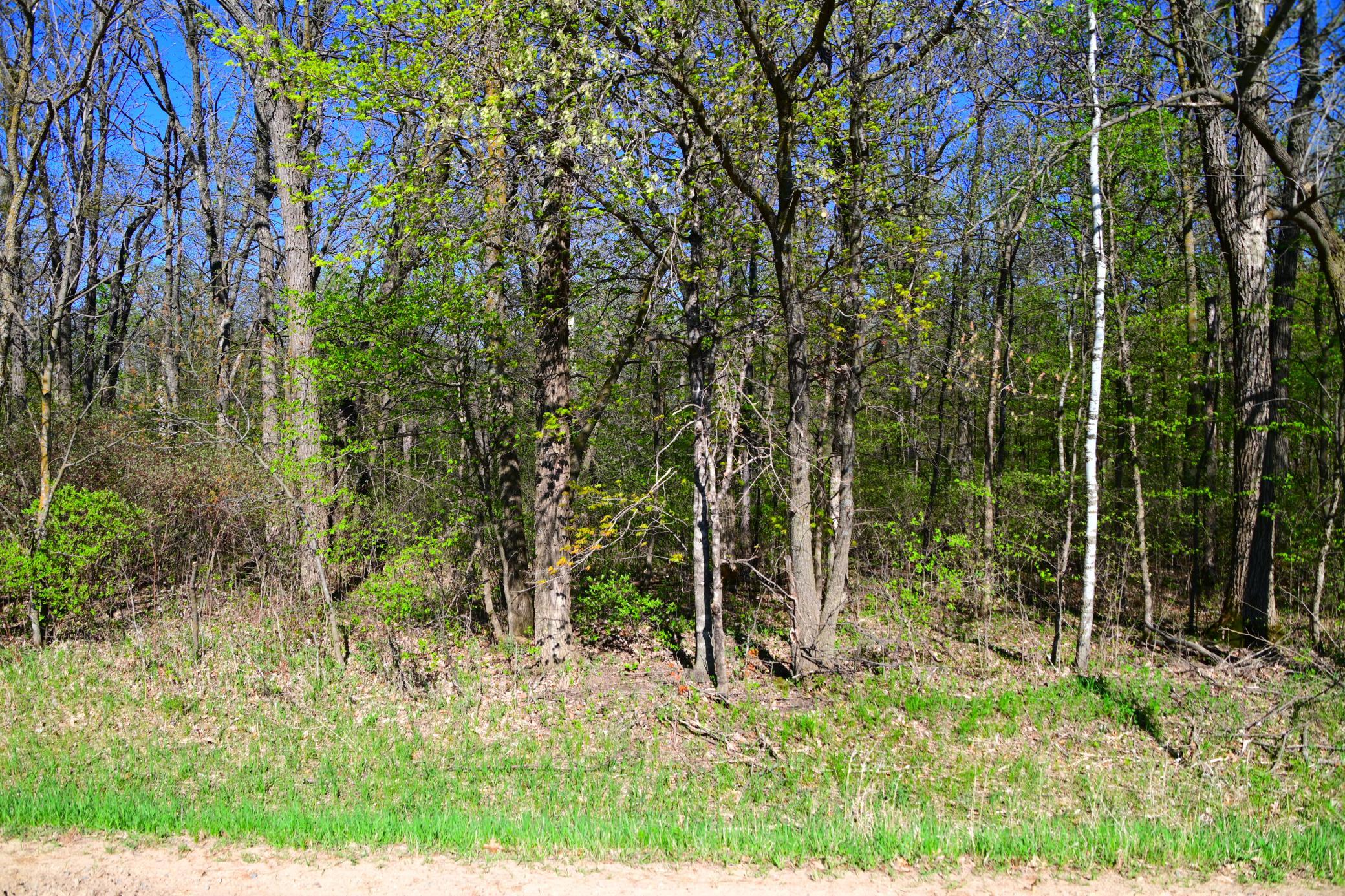 Tbd 285 Avenue Property Photo 2