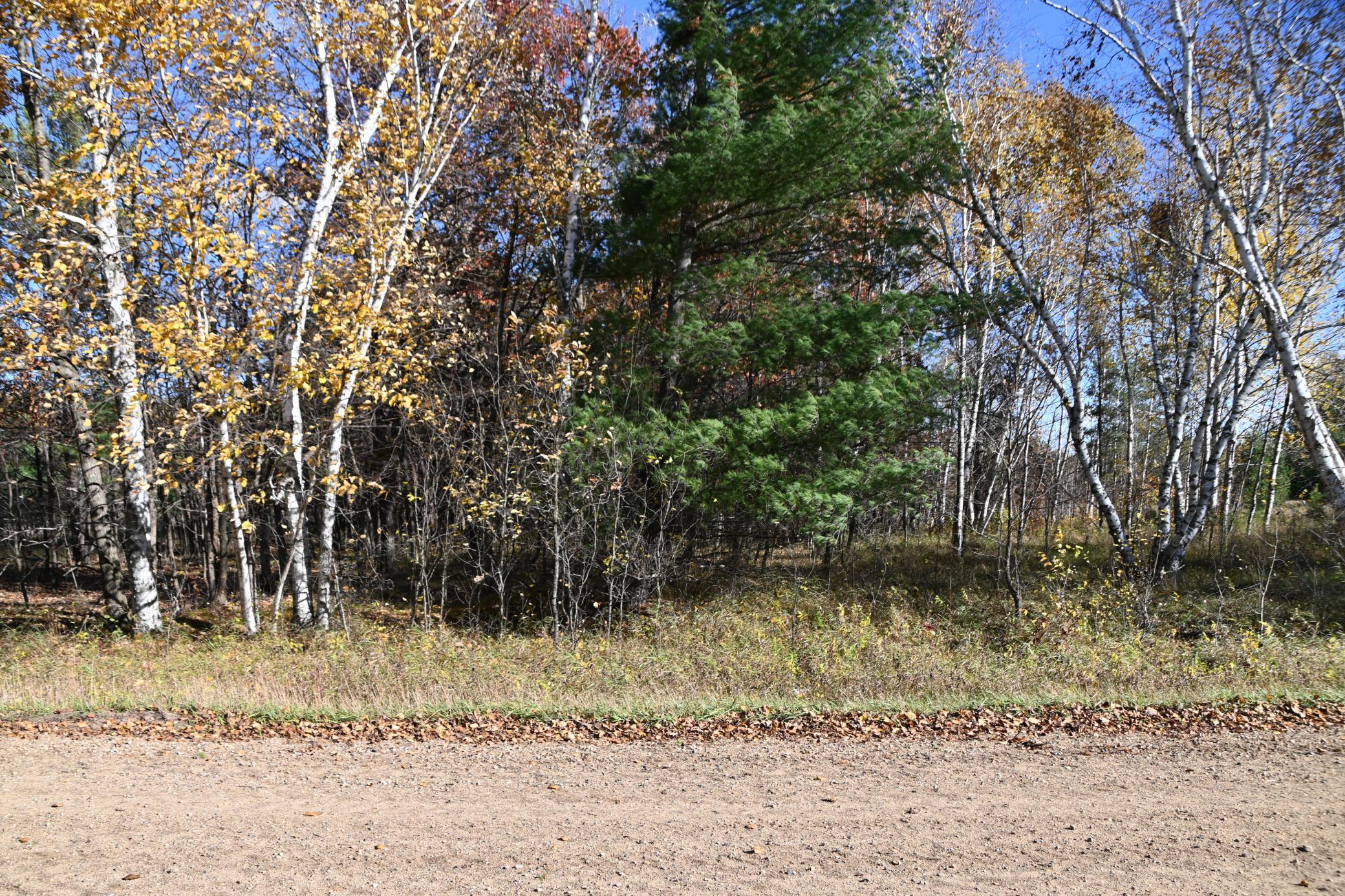 Tbd Pacer Loop Property Photo 2