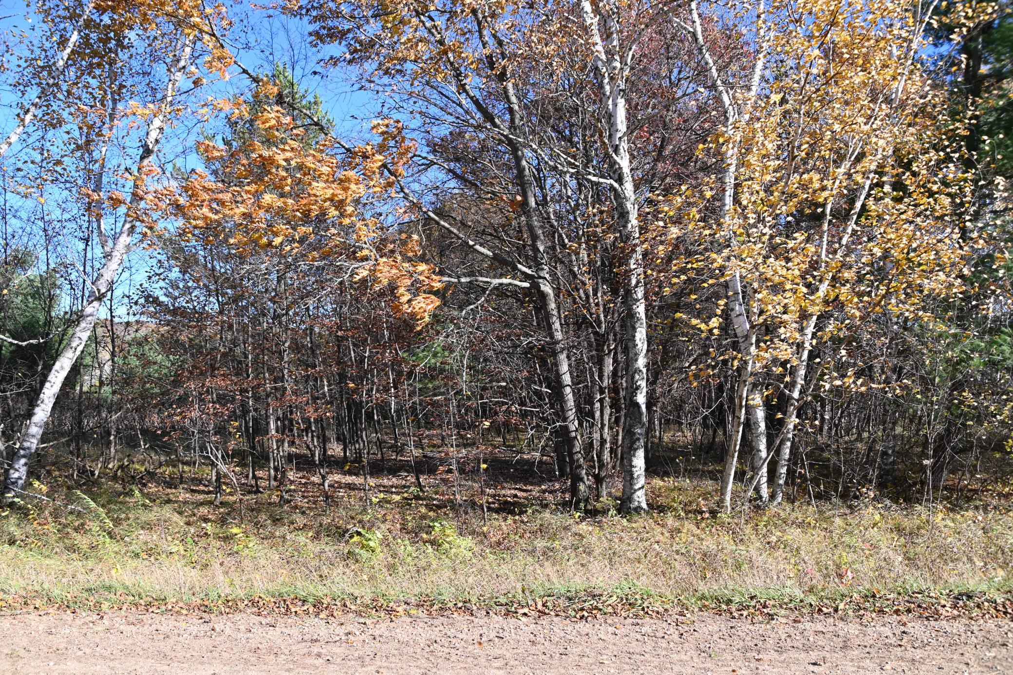 Tbd Pacer Loop Property Photo 3