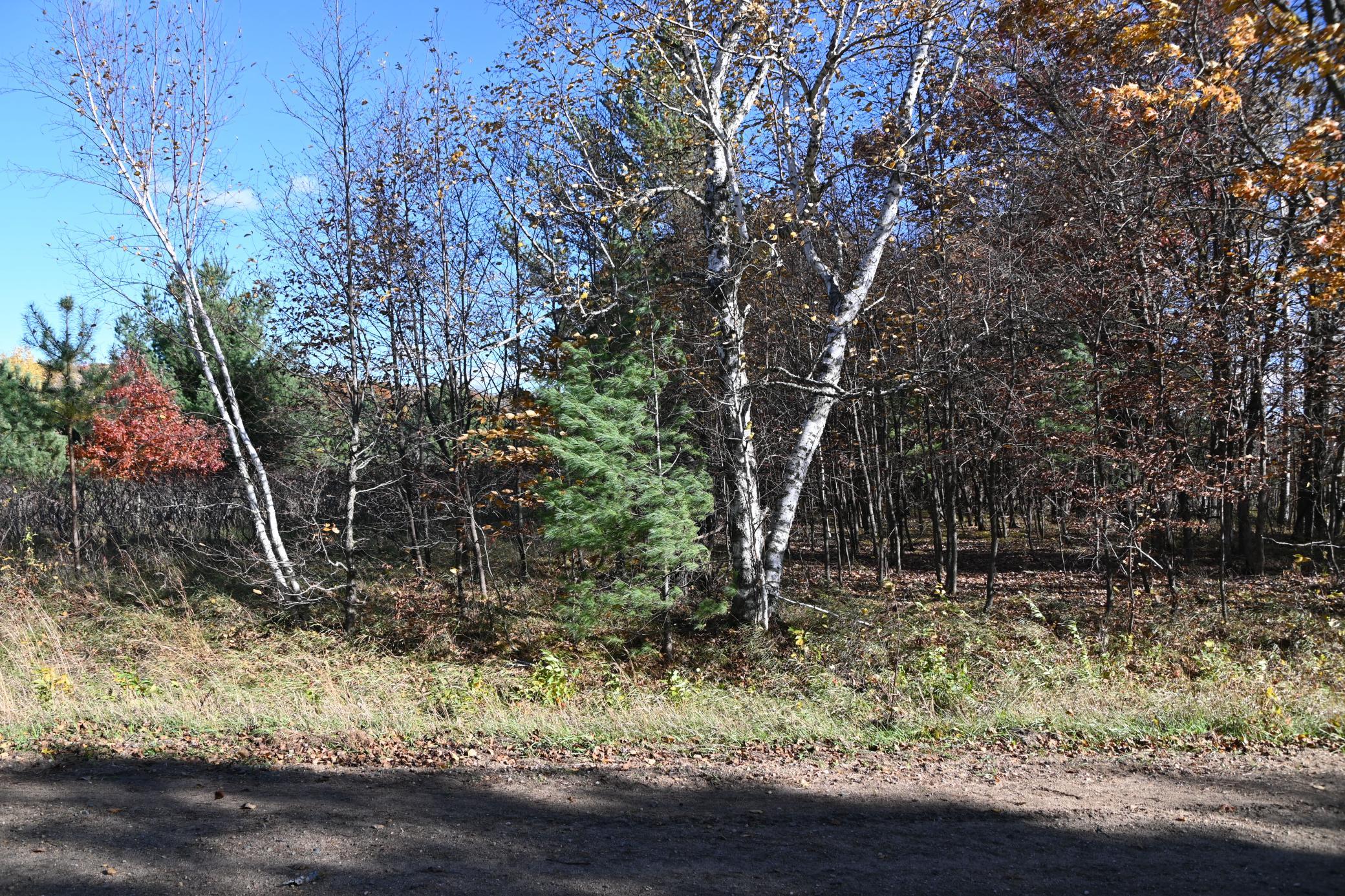 Tbd Pacer Loop Property Photo 4