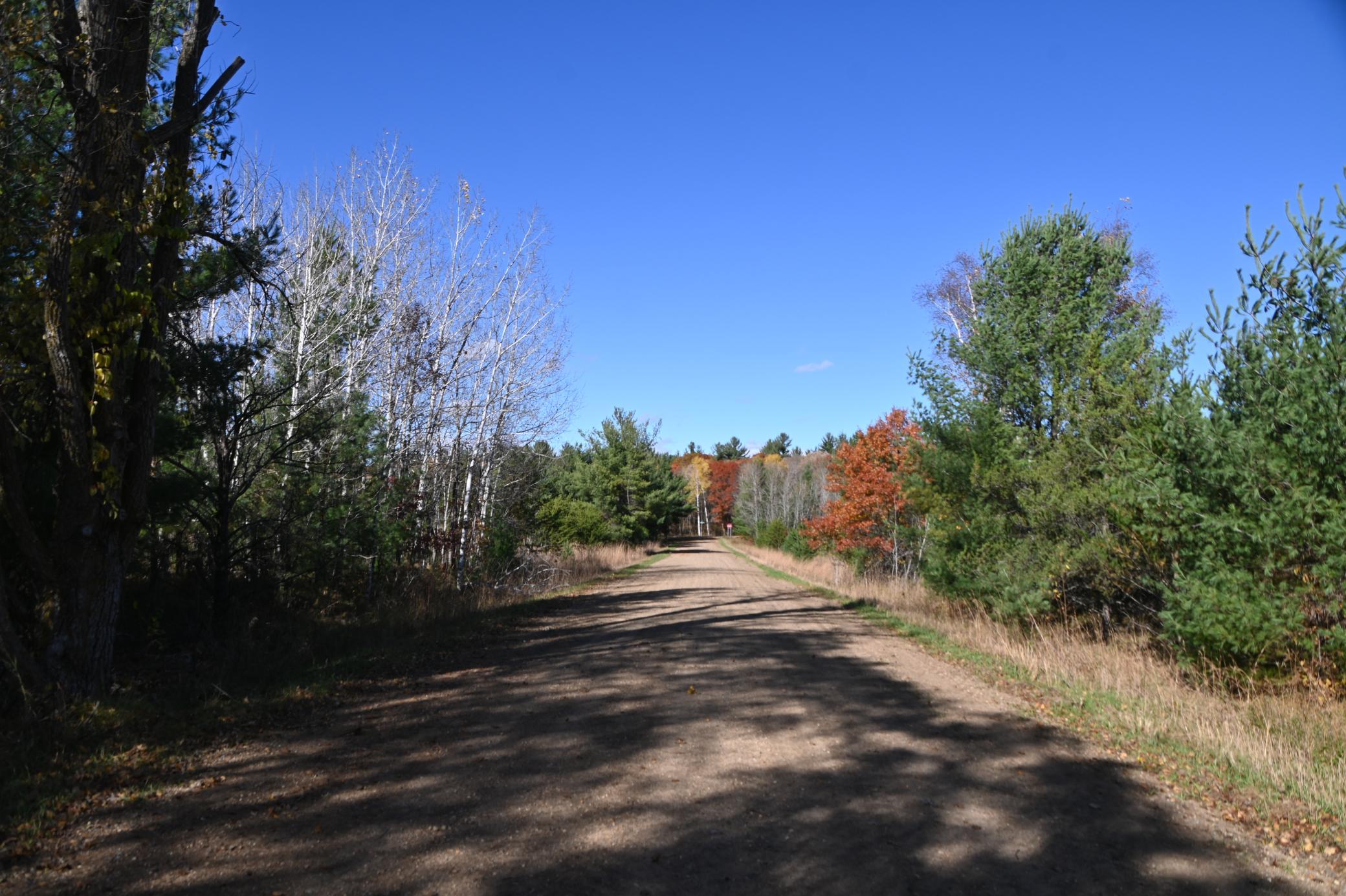 Tbd Pacer Loop Property Photo 5