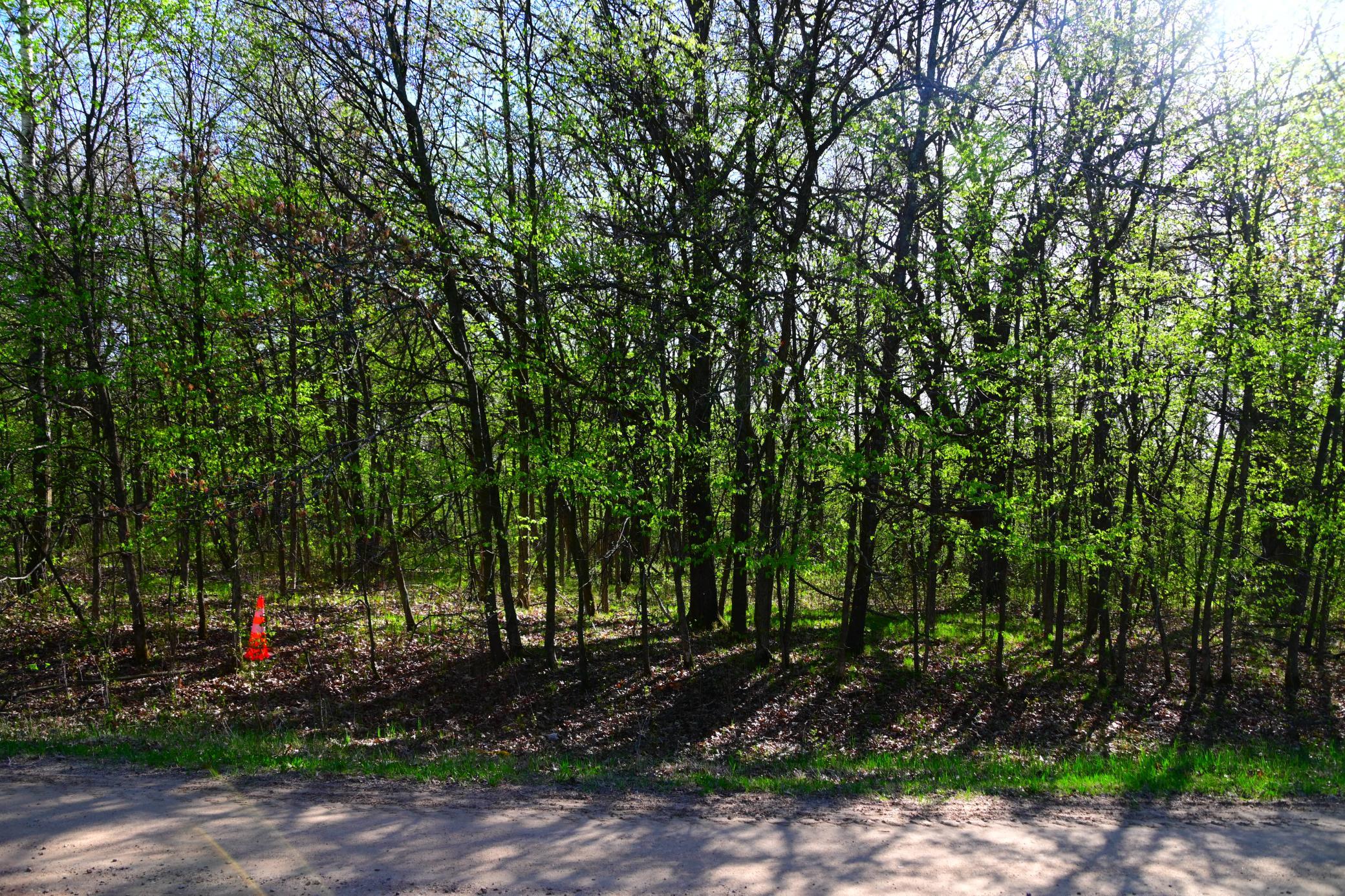 28329 Orchard Drive Property Photo 6