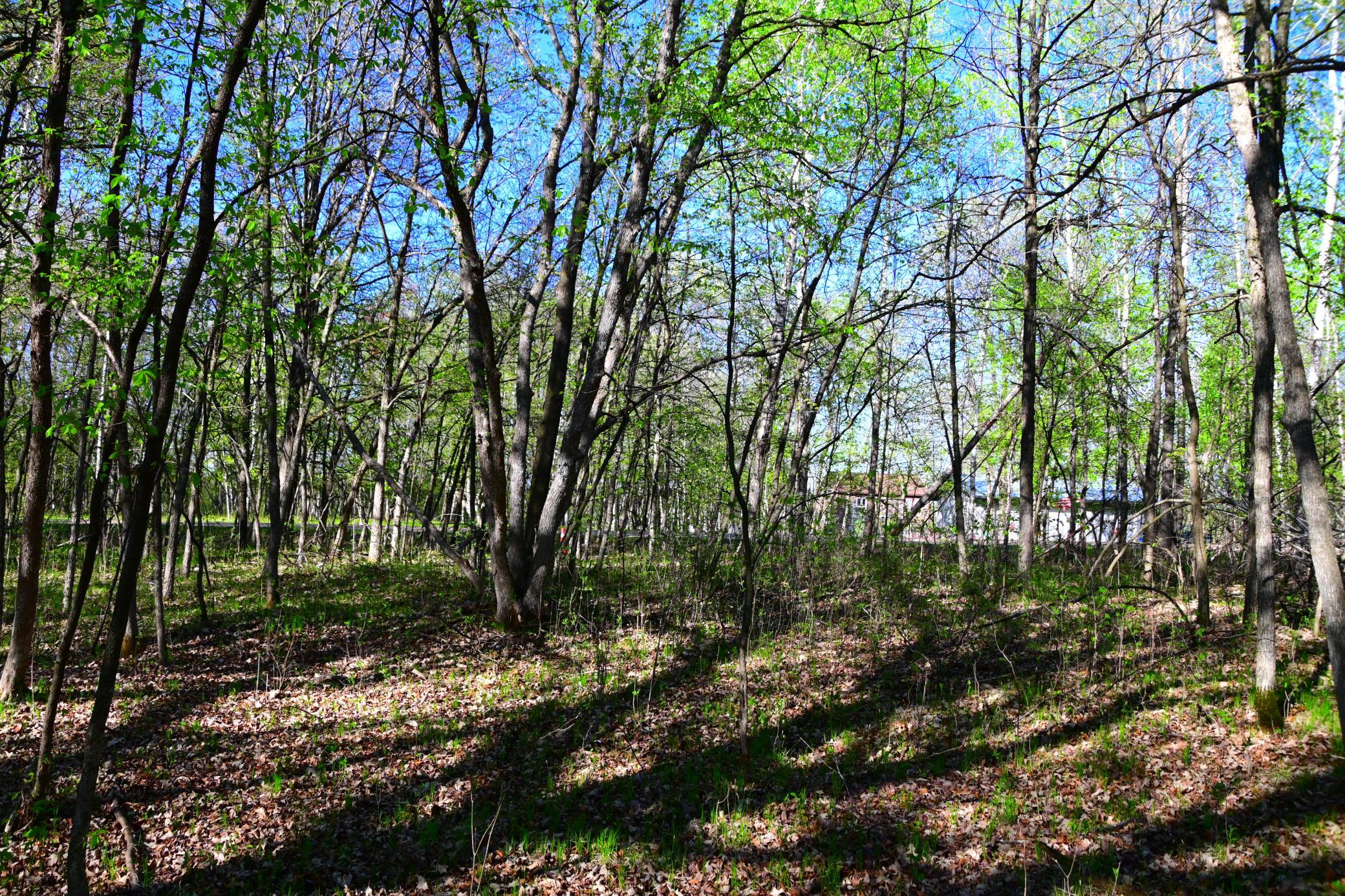 28329 Orchard Drive Property Photo 13