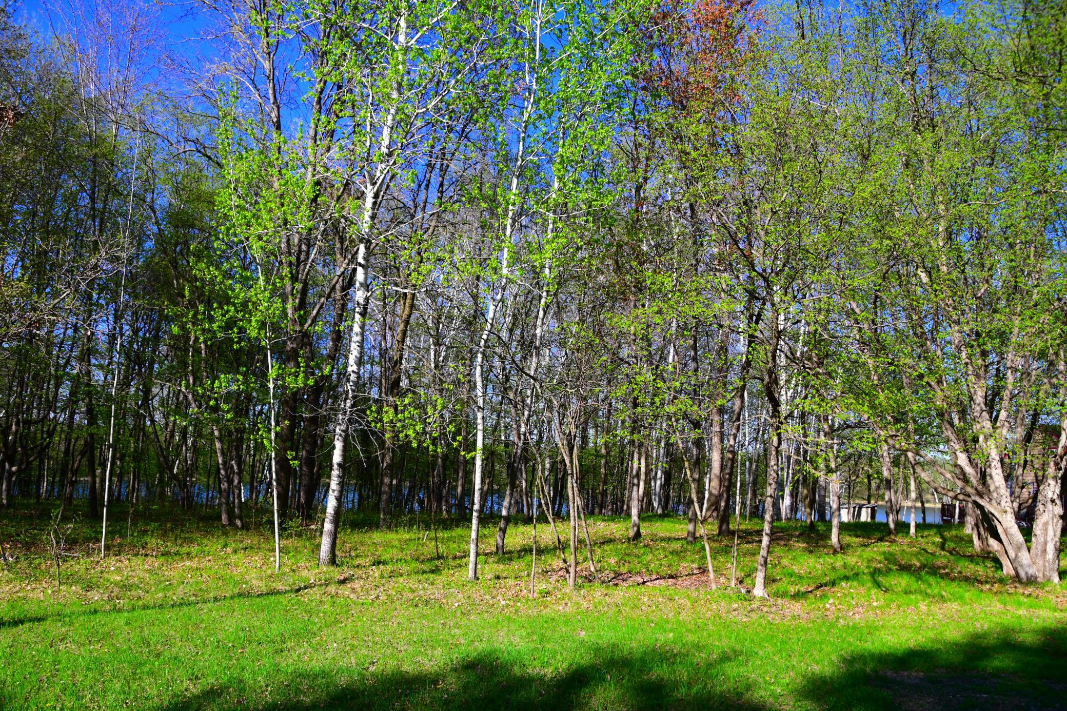 28329 Orchard Drive Property Photo 25