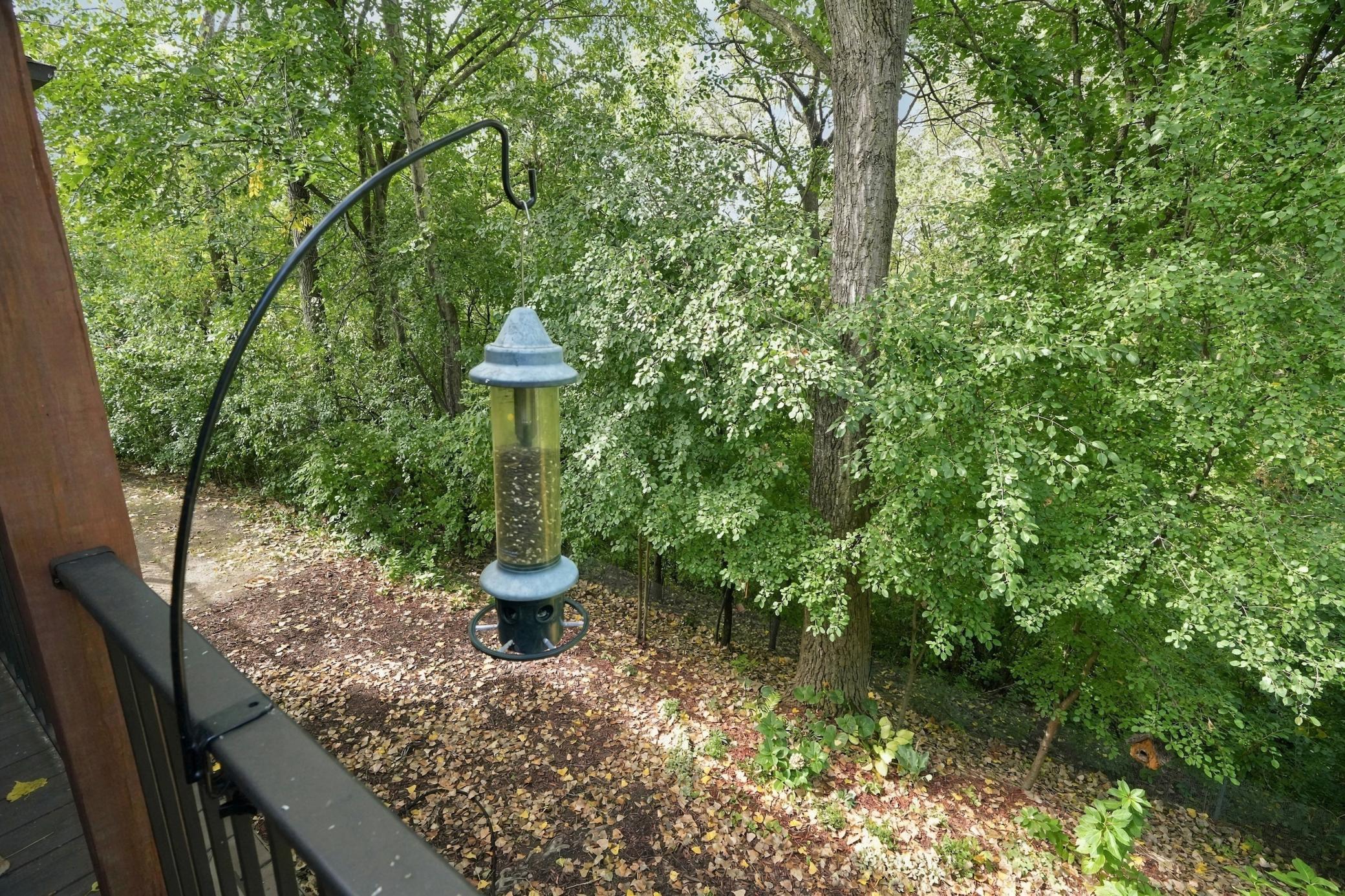 3683 Widgeon Way Property Photo 30