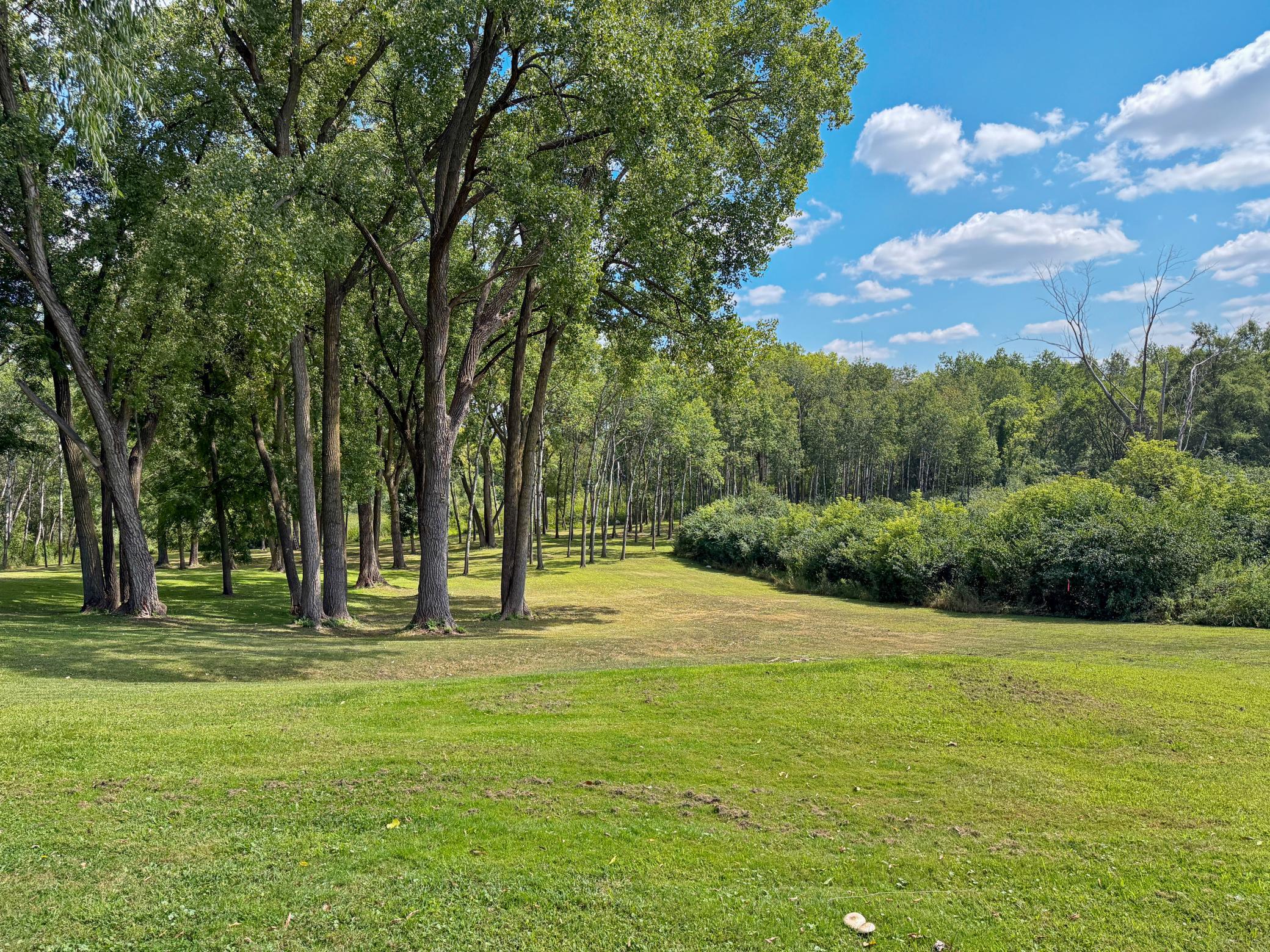 3032 Labore Road Property Photo 7