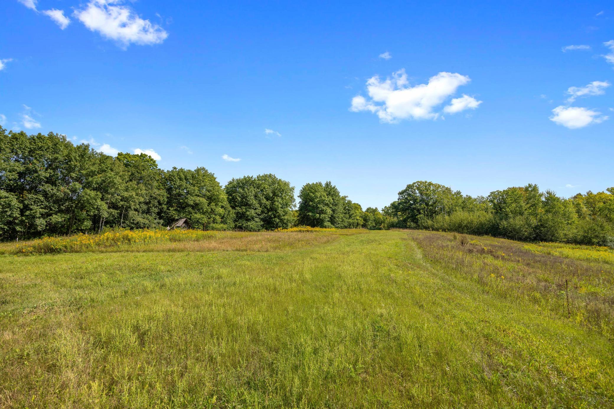 Xxx County Road 12 Property Photo 1