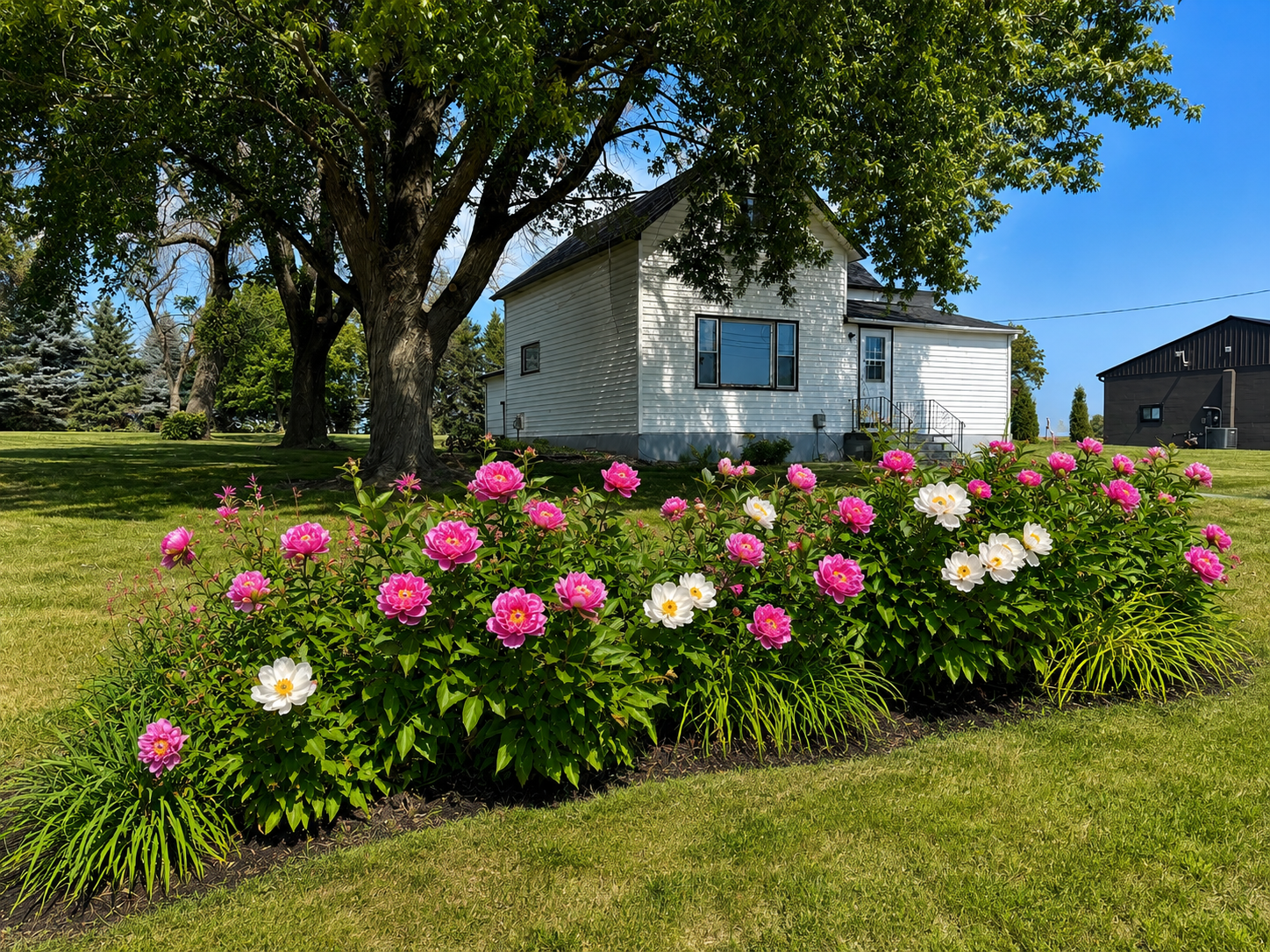 57736 370th Street Property Photo 1