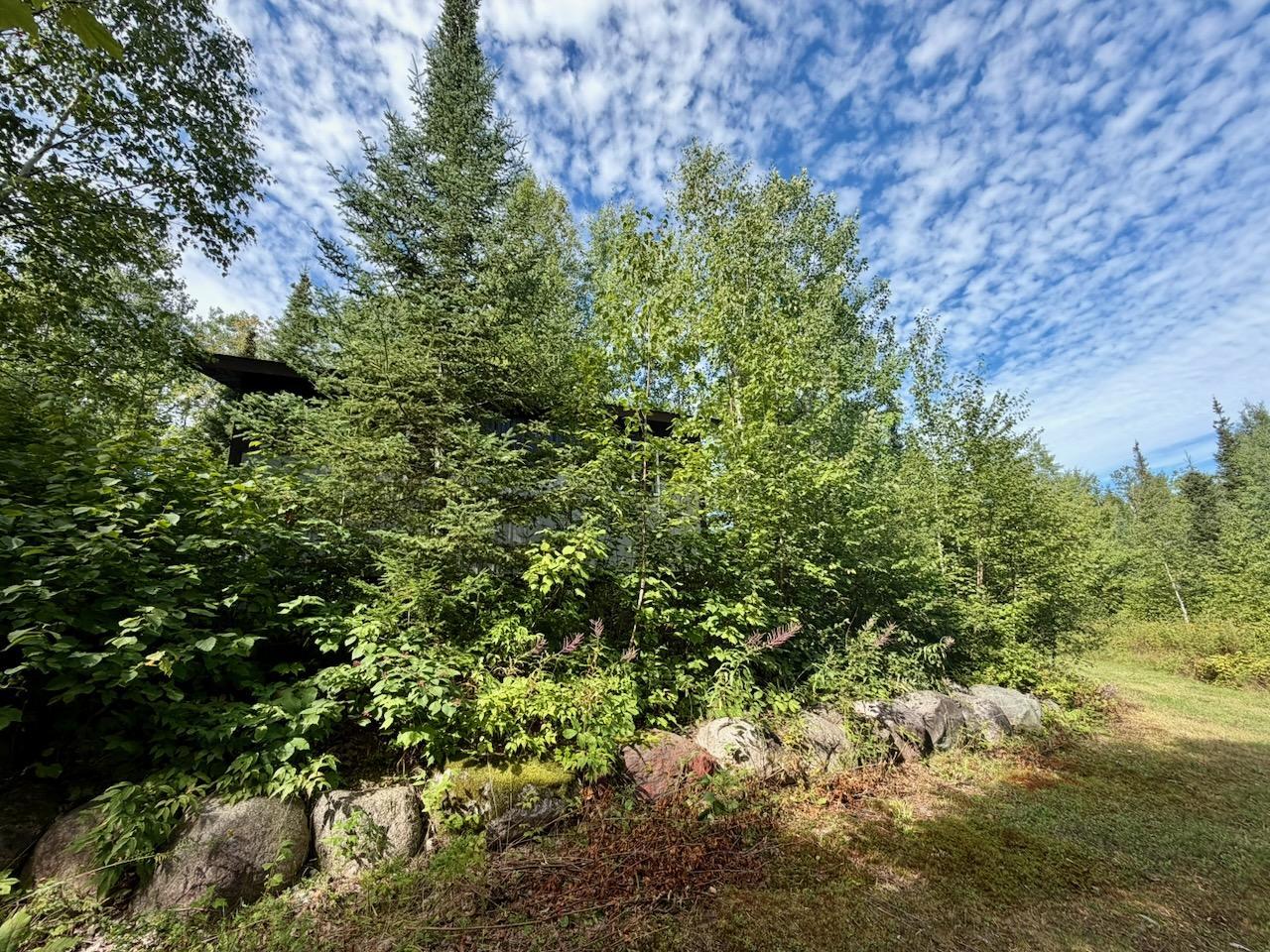 4704 Highway 169 Property Photo 39