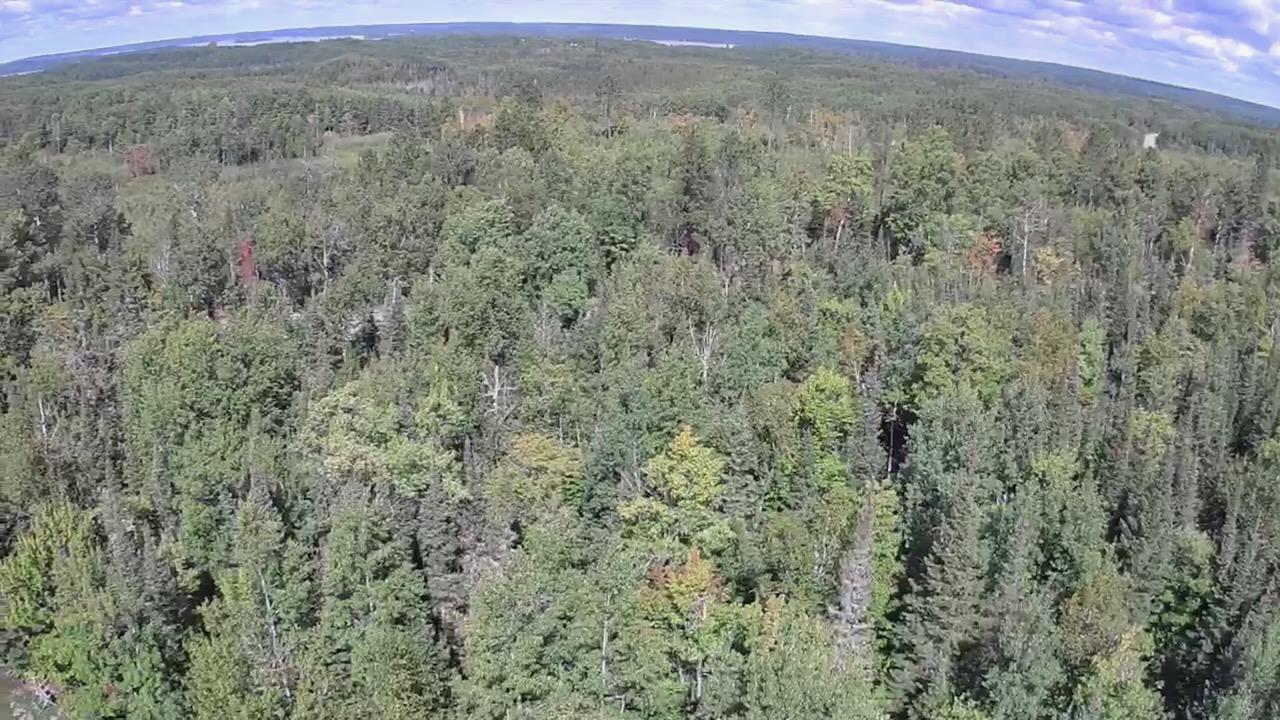 4704 Highway 169 Property Photo 56