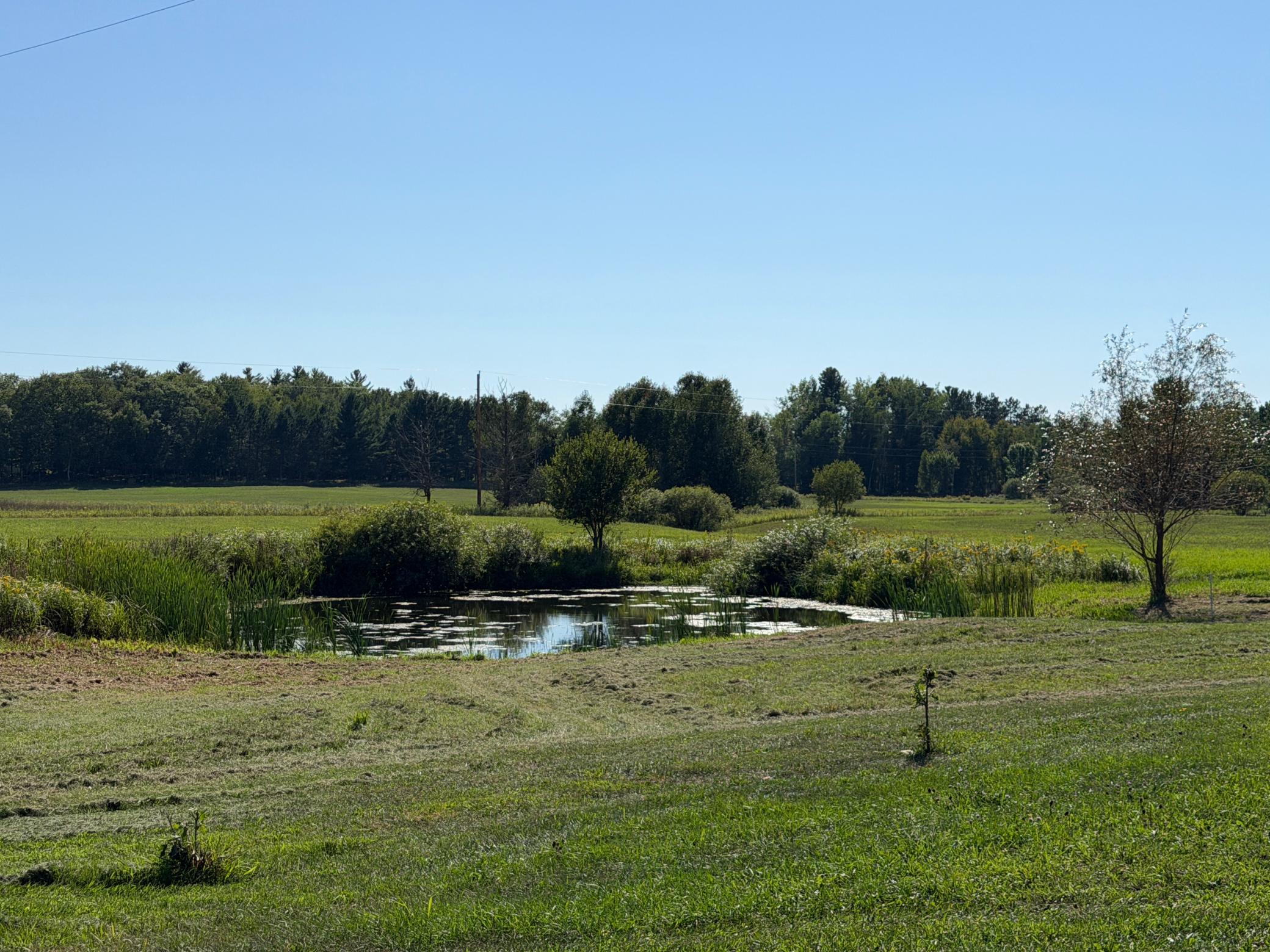 2149 Dixon Line Property Photo 3