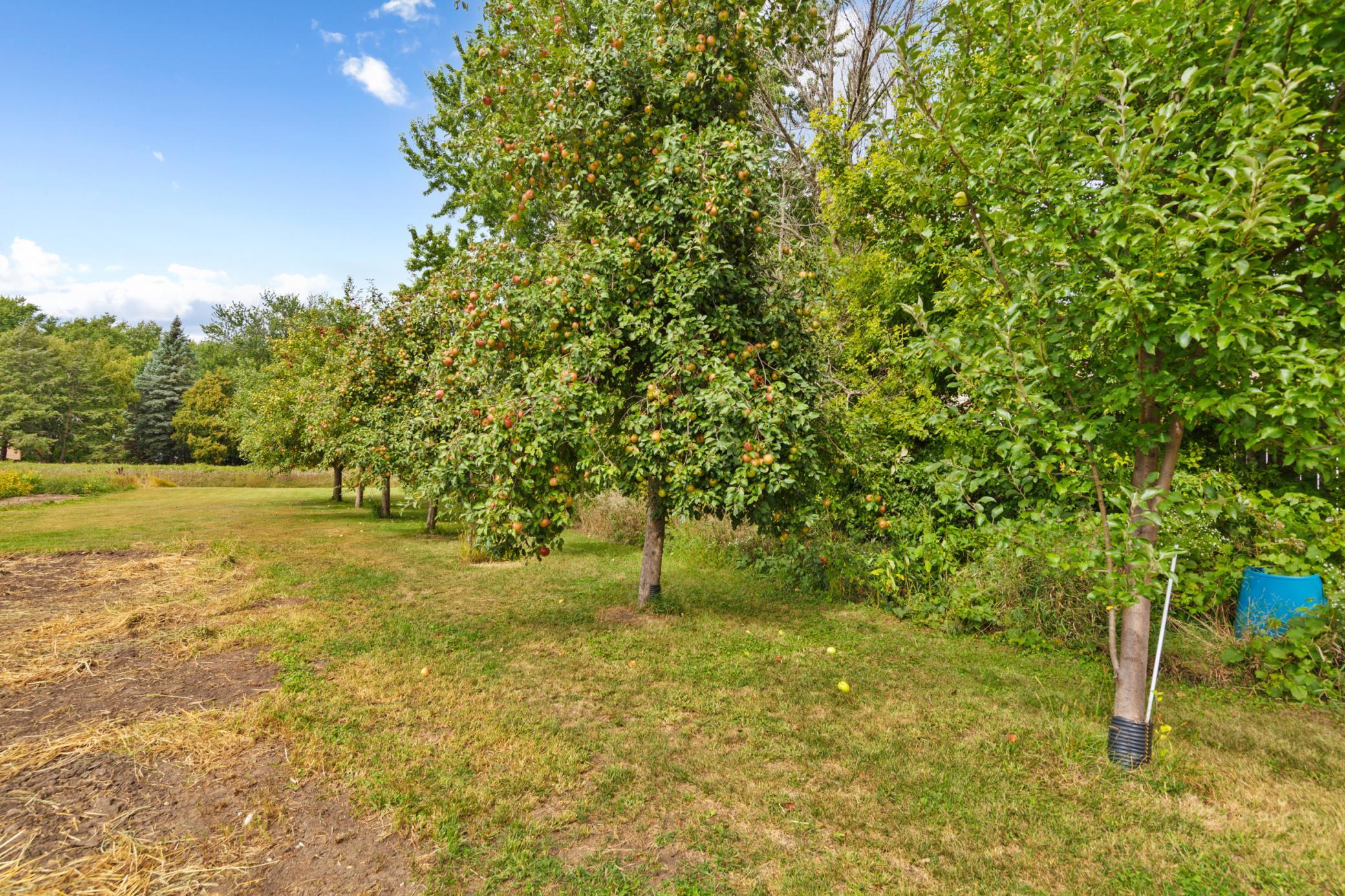 25115 Lamb Avenue Property Photo 54