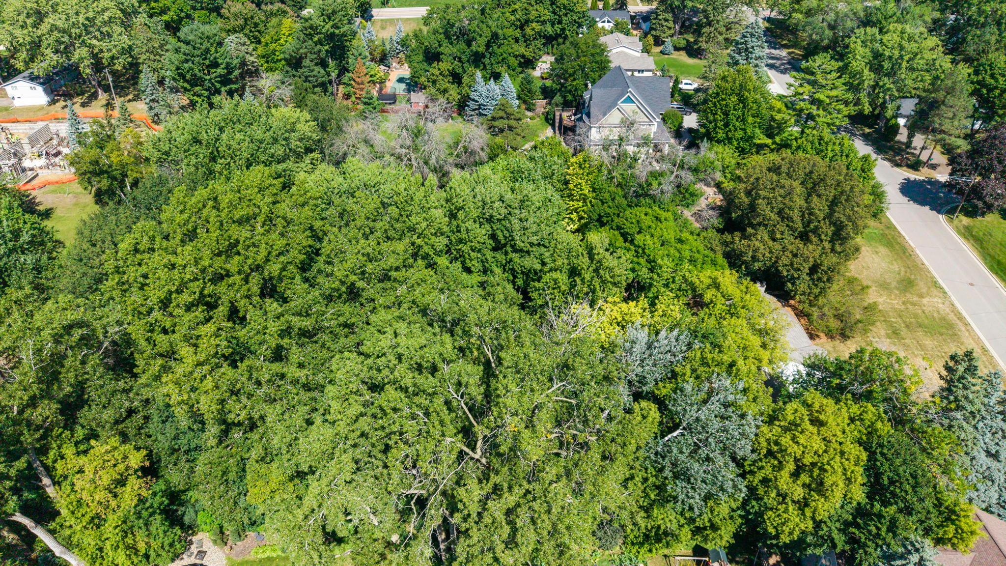 5916 Code Avenue Property Photo 21