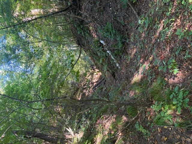 649 193rd Avenue Property Photo 4