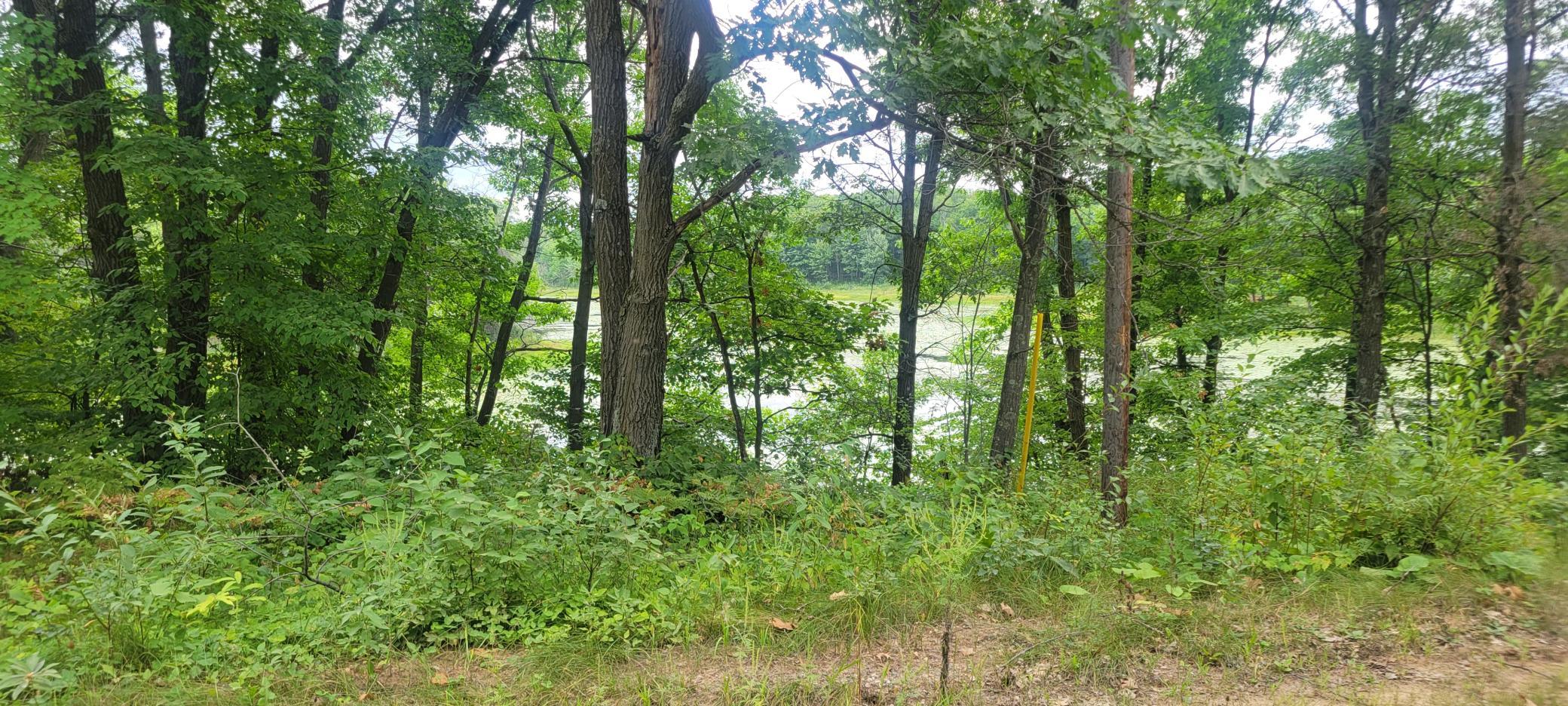Tbd Cedar Road Property Photo 1