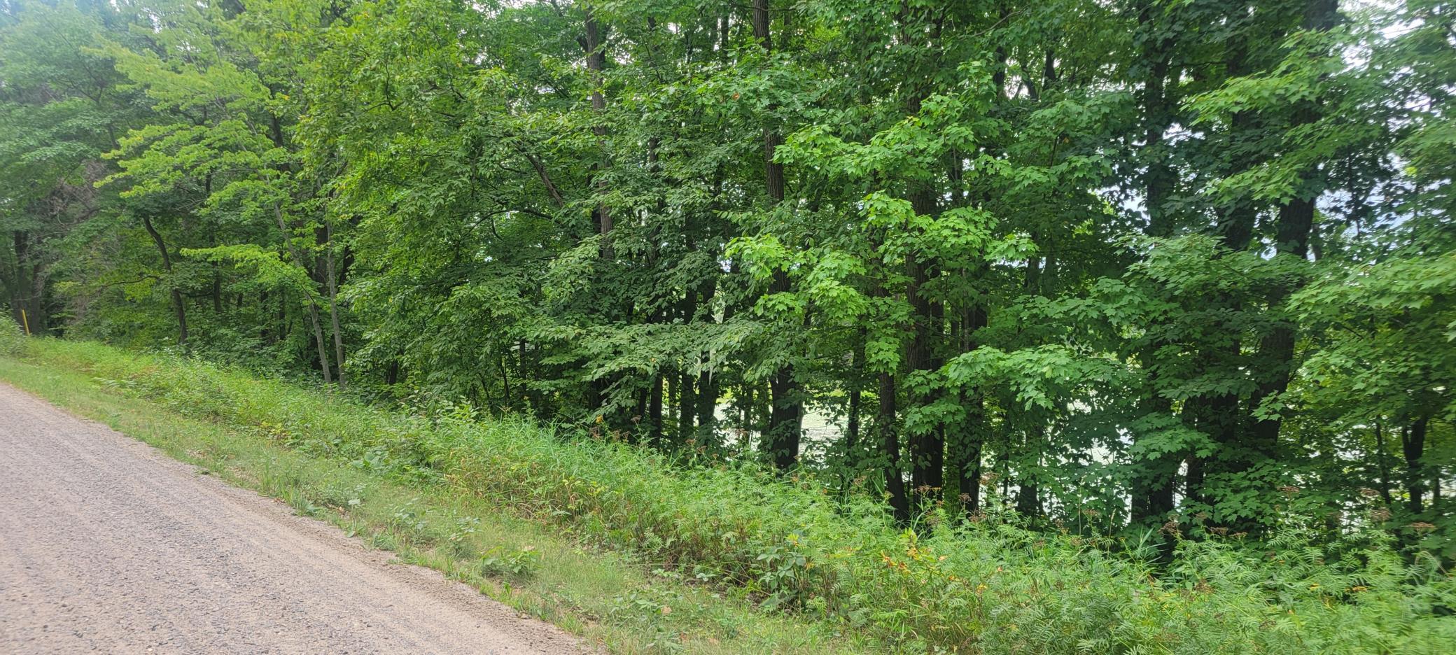 Tbd Cedar Road Property Photo 2