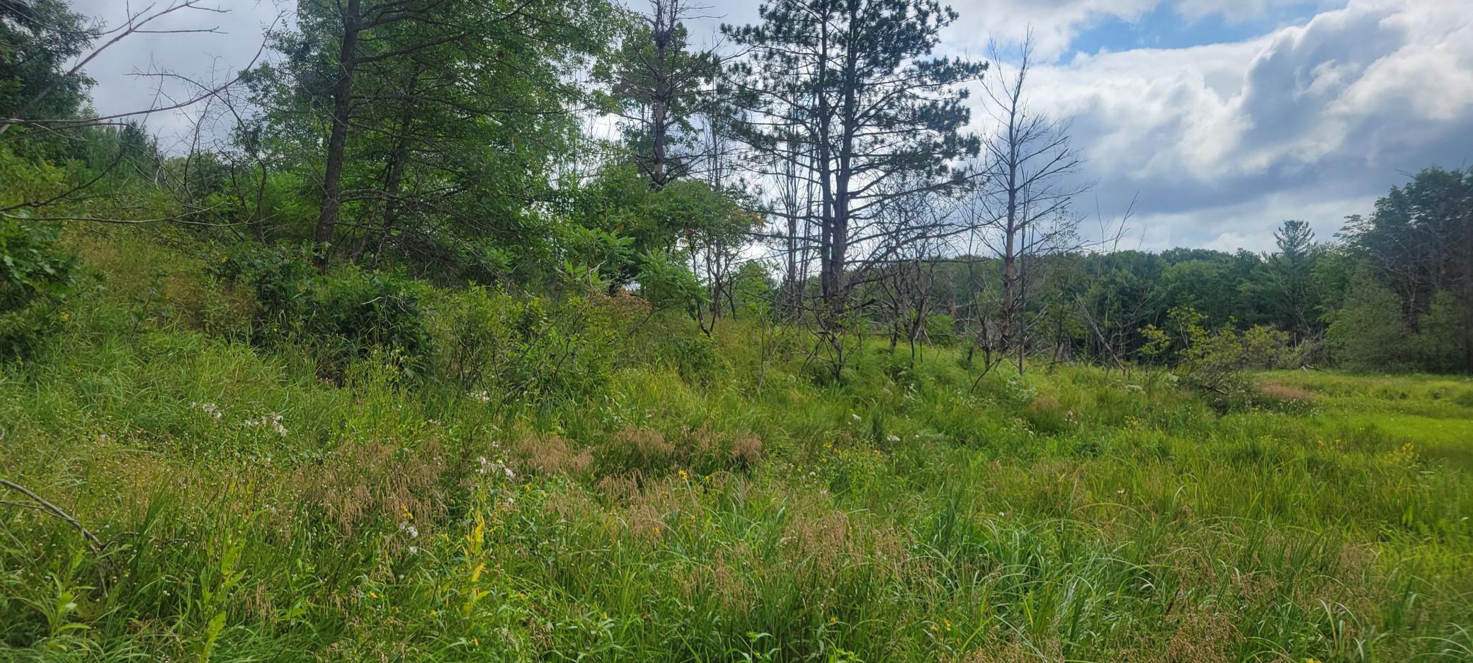 Tbd Cedar Road Property Photo 6