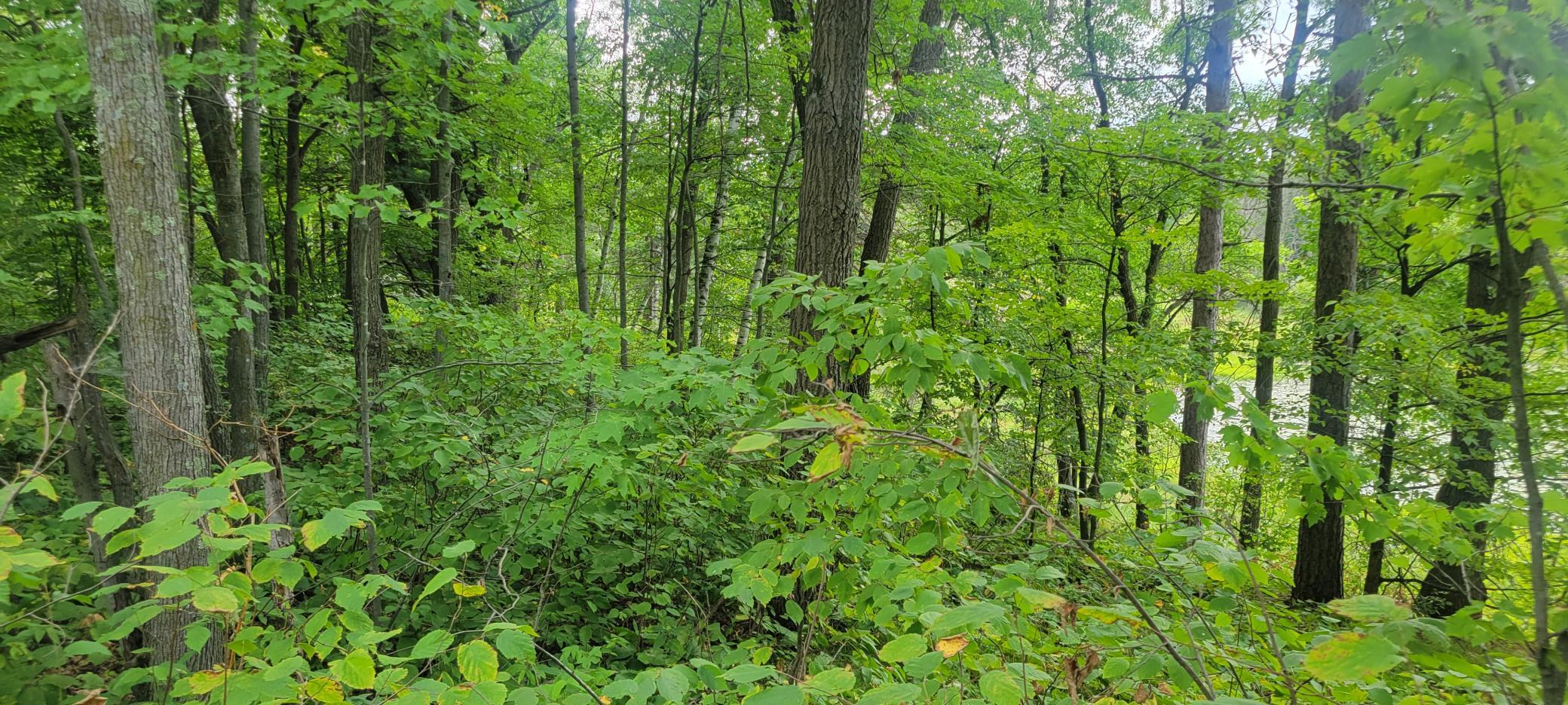 Tbd Cedar Road Property Photo 8