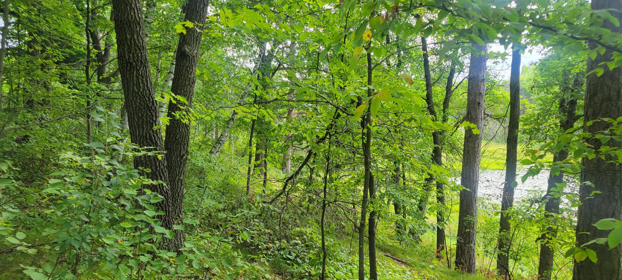Tbd Cedar Road Property Photo 10