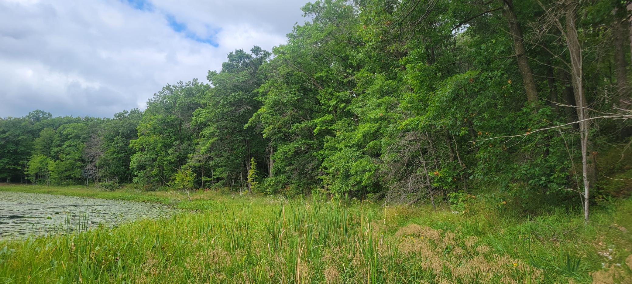 Tbd Cedar Road Property Photo 12