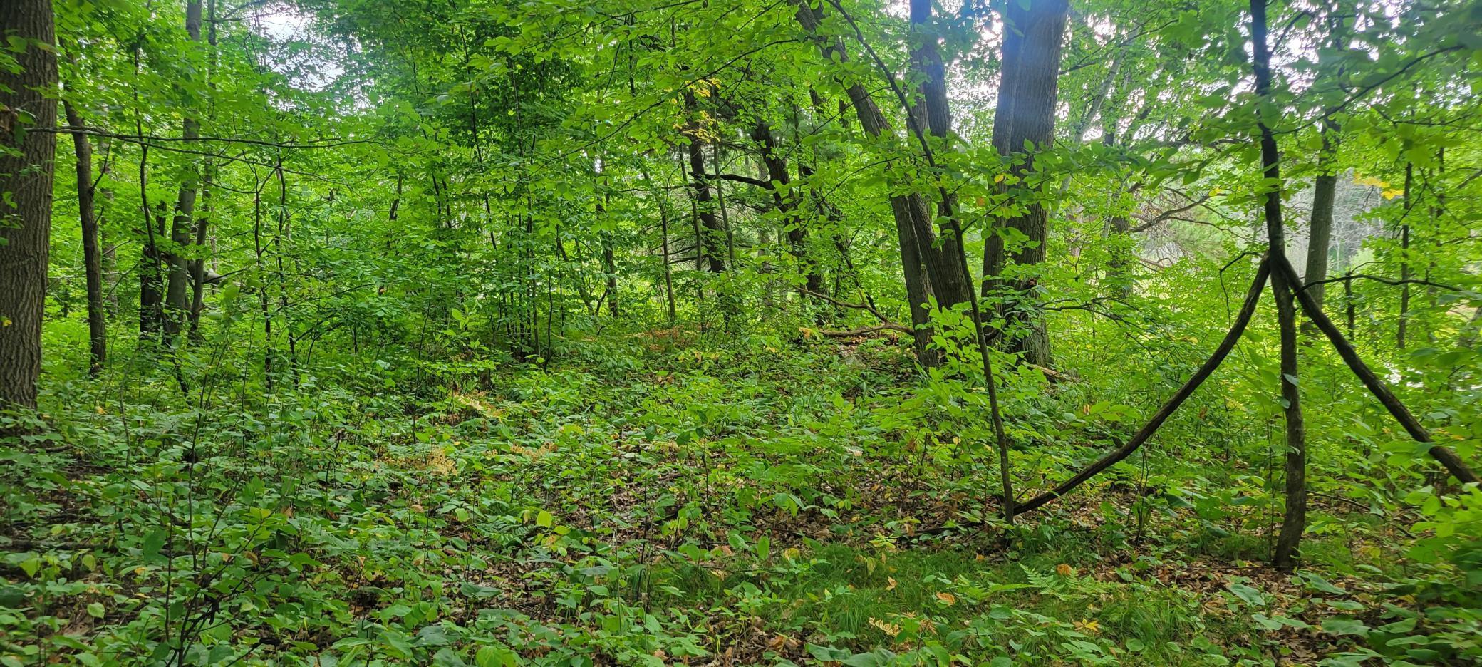 Tbd Cedar Road Property Photo 13
