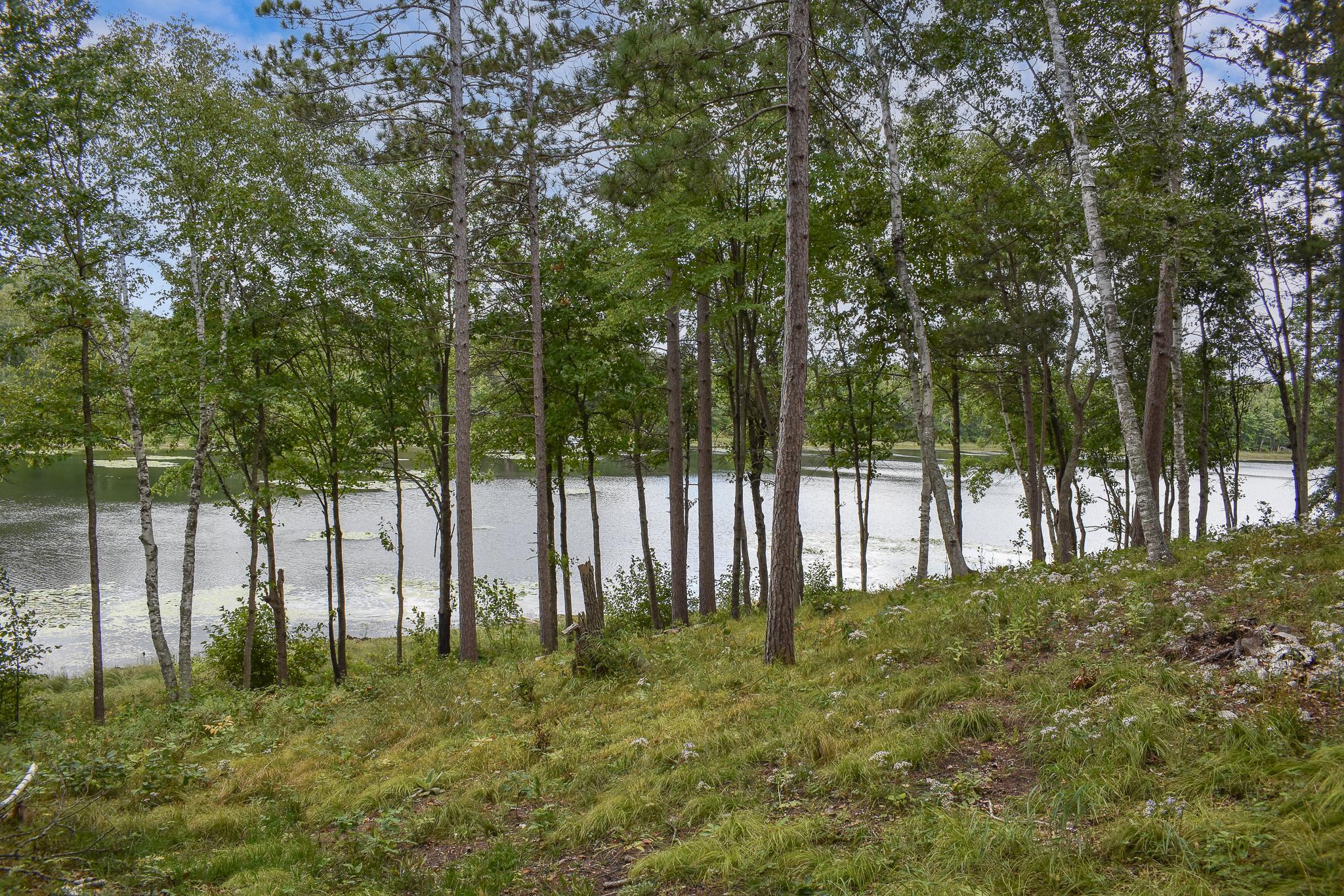 42937 Minnie Lake Drive Property Photo 40