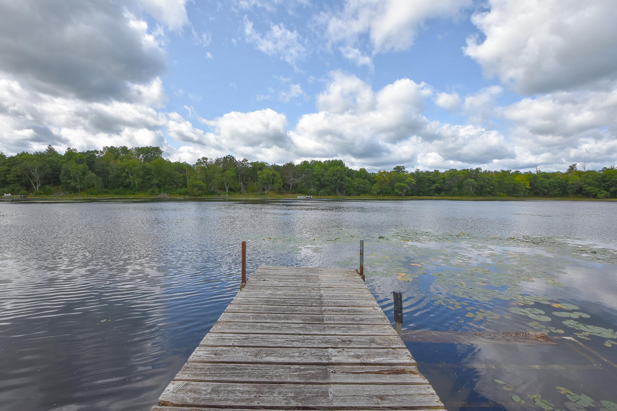 42937 Minnie Lake Drive Property Photo 41
