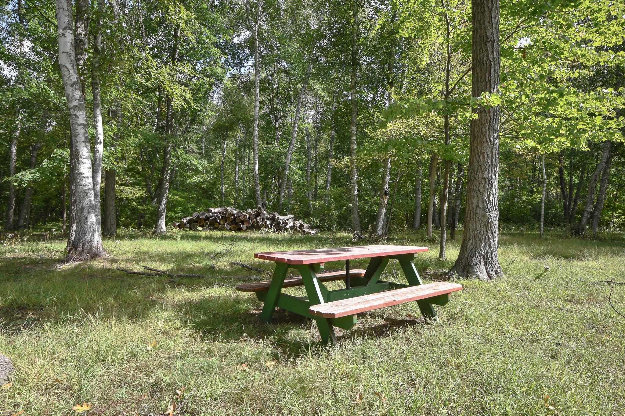 42937 Minnie Lake Drive Property Photo 45
