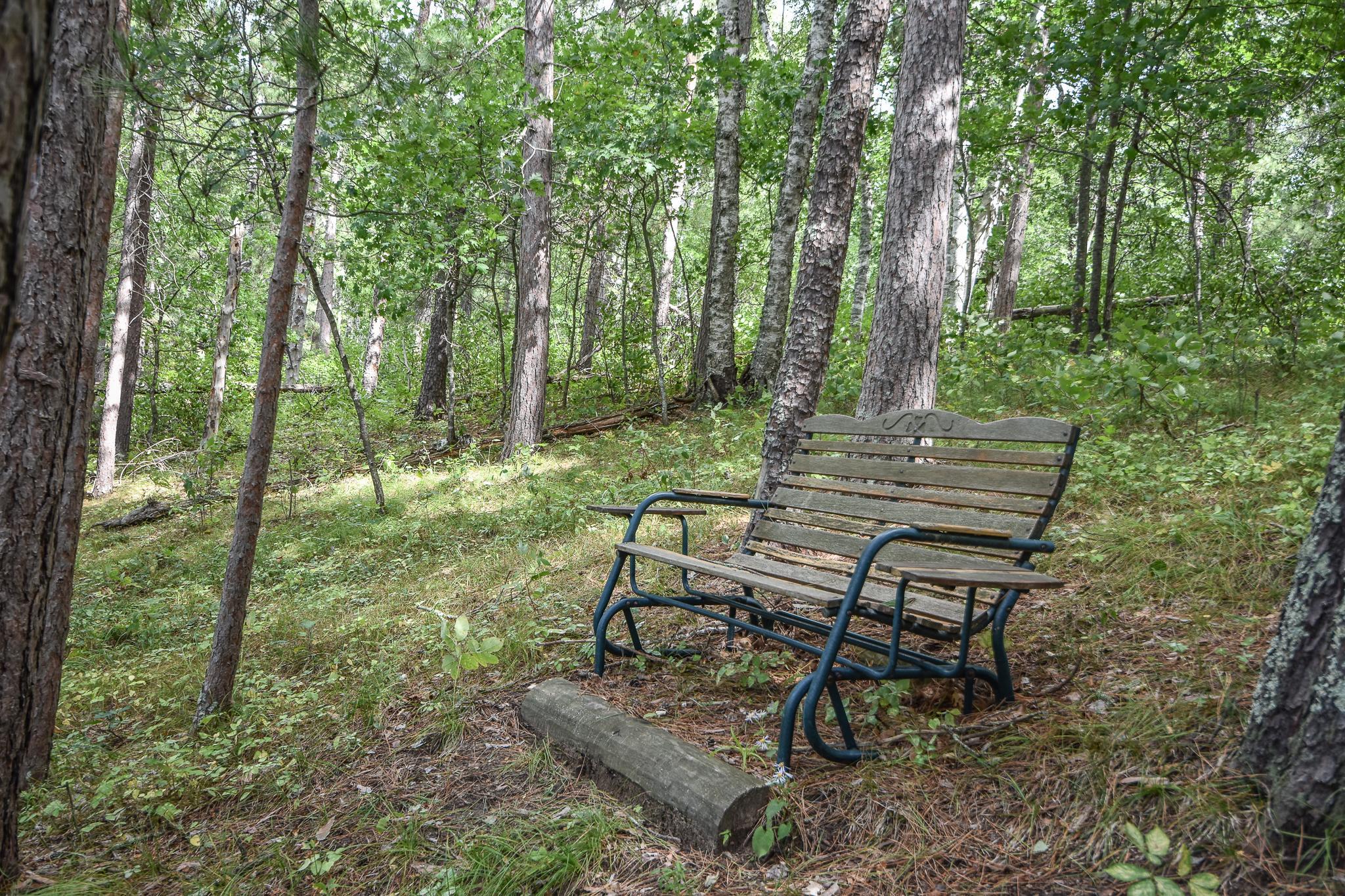 42937 Minnie Lake Drive Property Photo 50