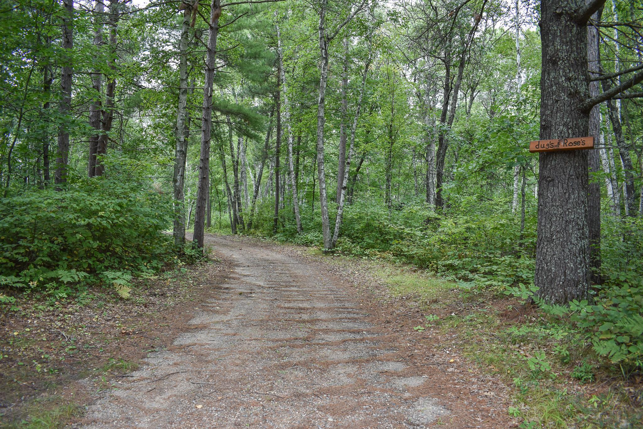 42937 Minnie Lake Drive Property Photo 51