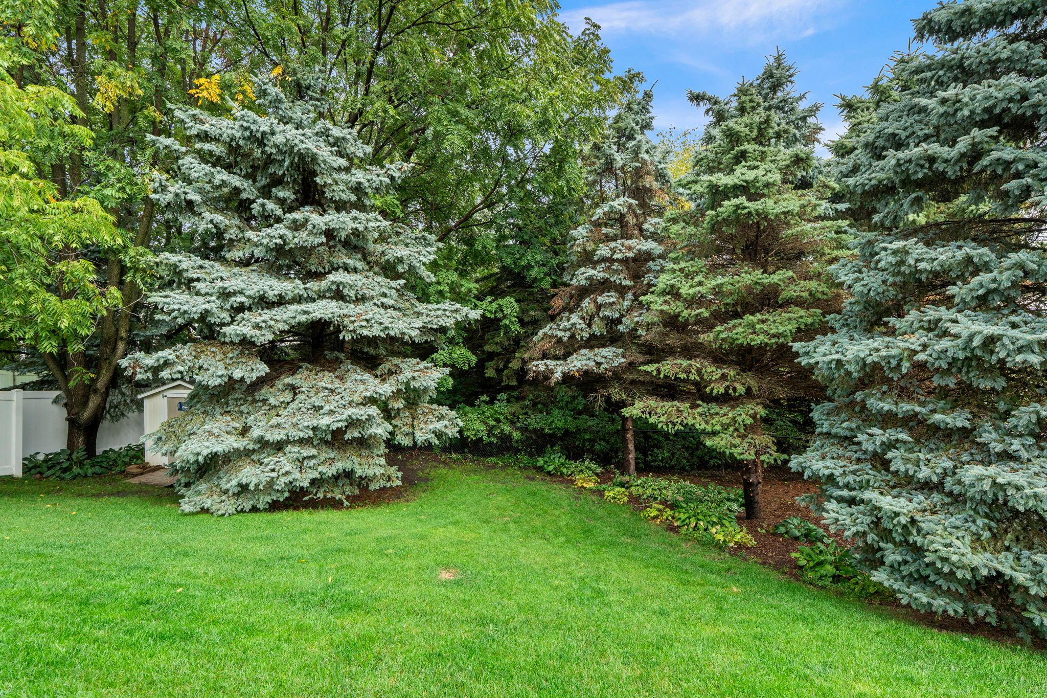 1515 138th Street E Property Photo 54