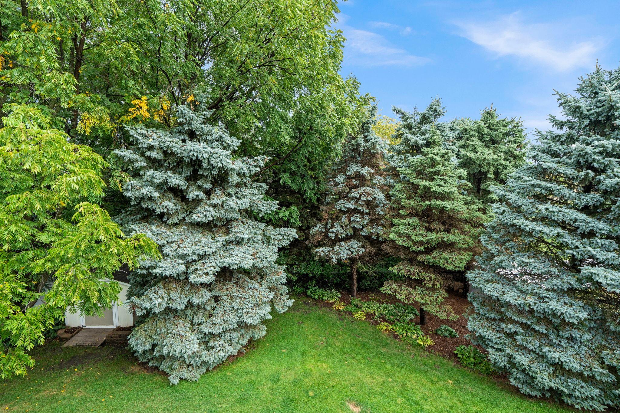 1515 138th Street E Property Photo 55